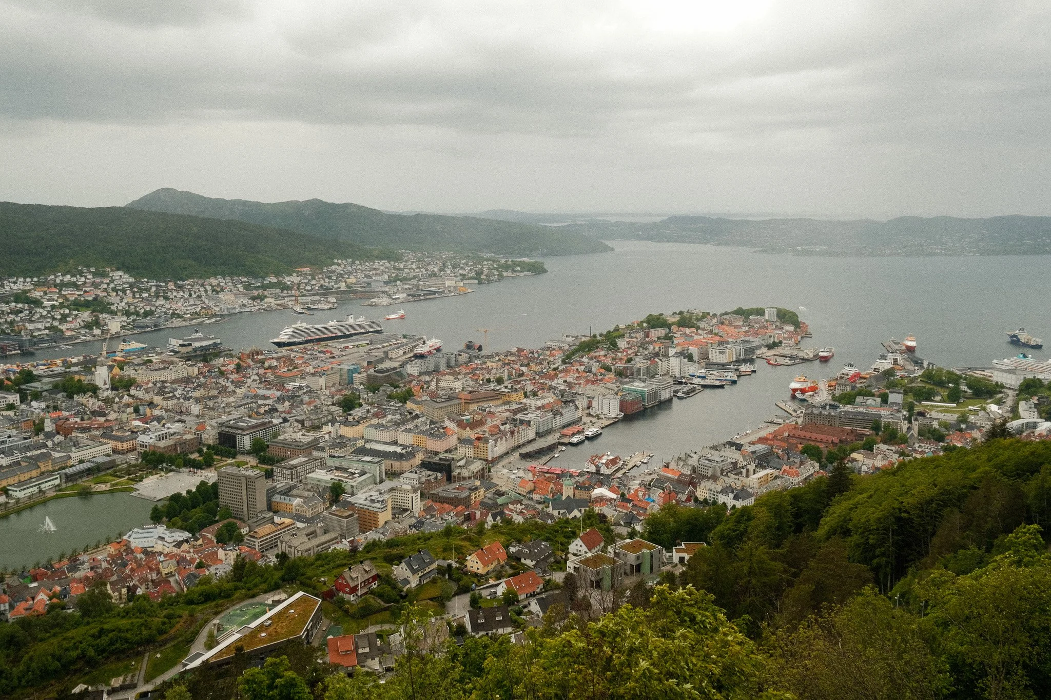 DSCF7687.jpg