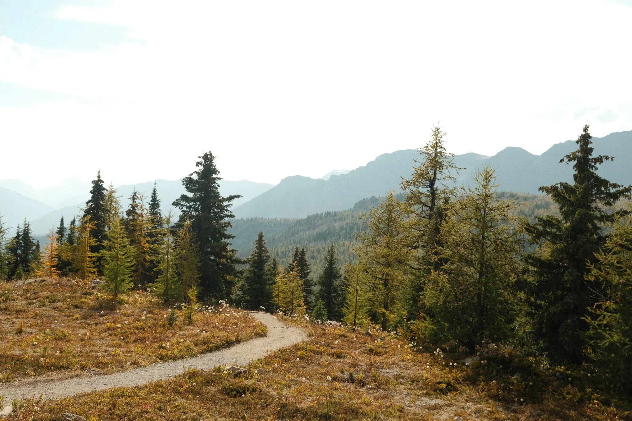 DSCF3381.jpg