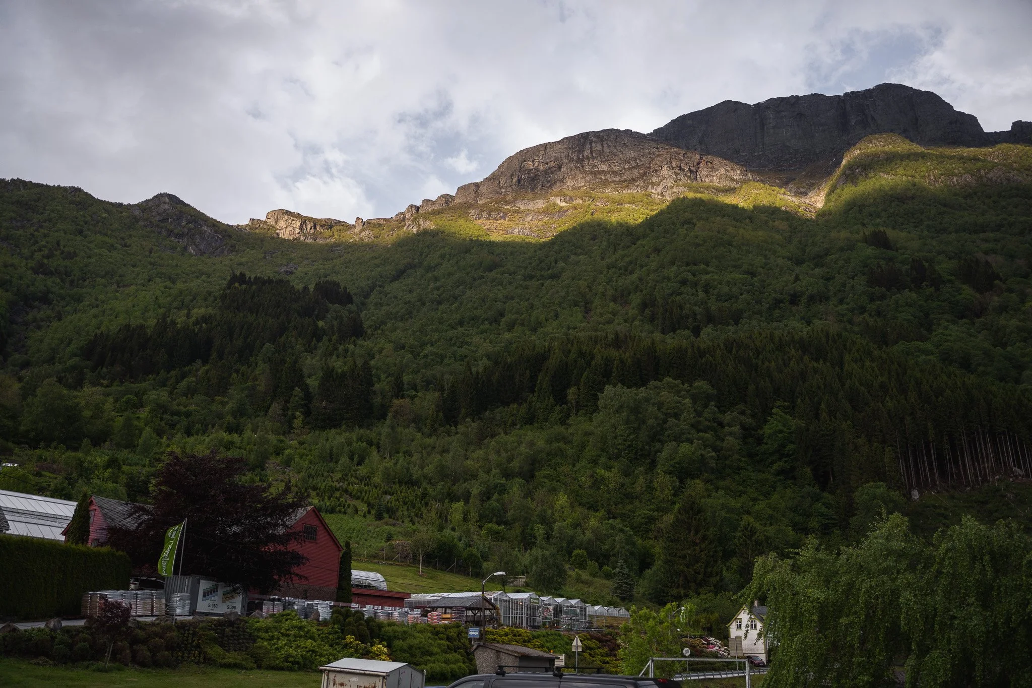 DSC02858.jpg