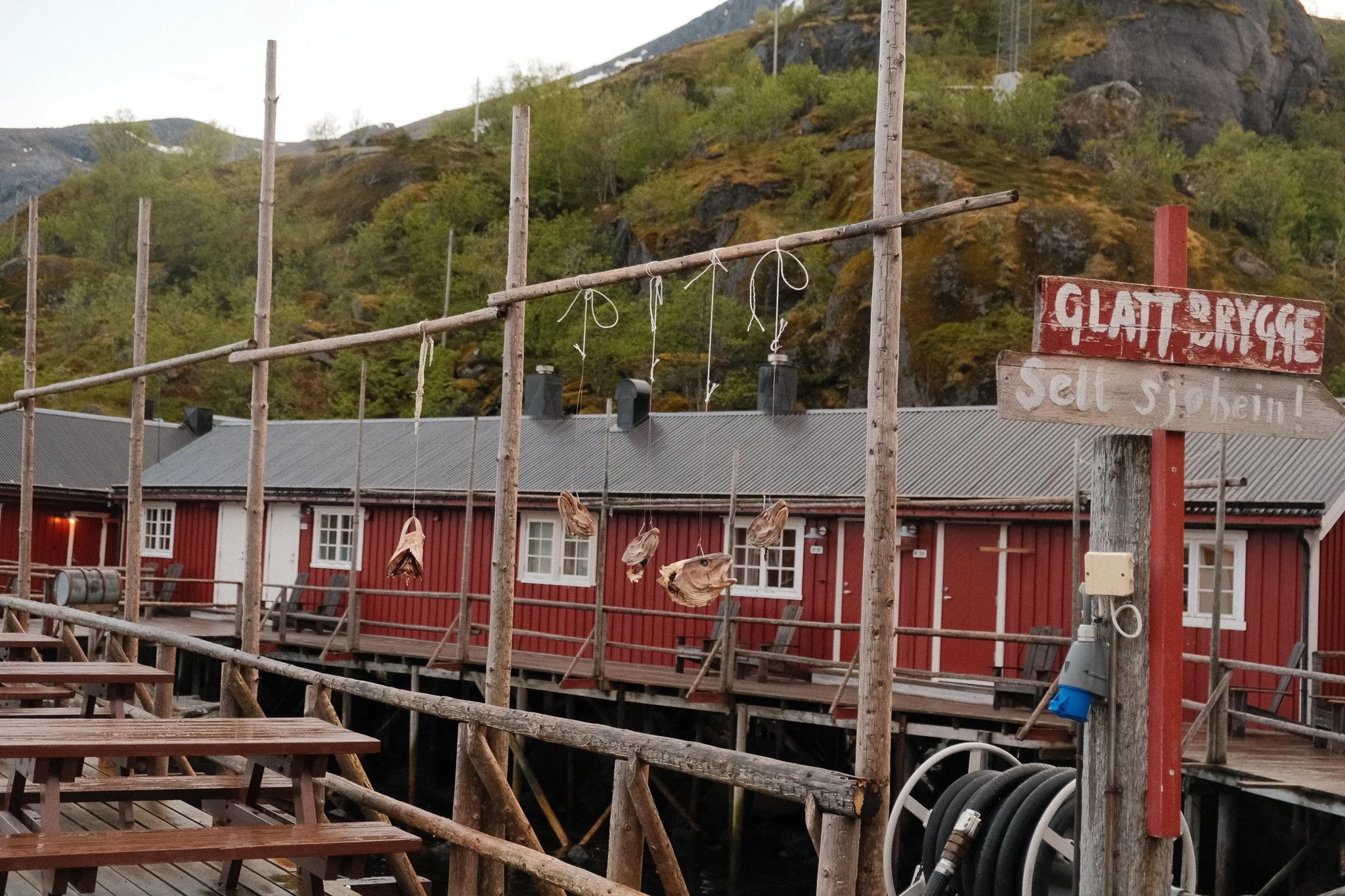 DSCF0438.jpg
