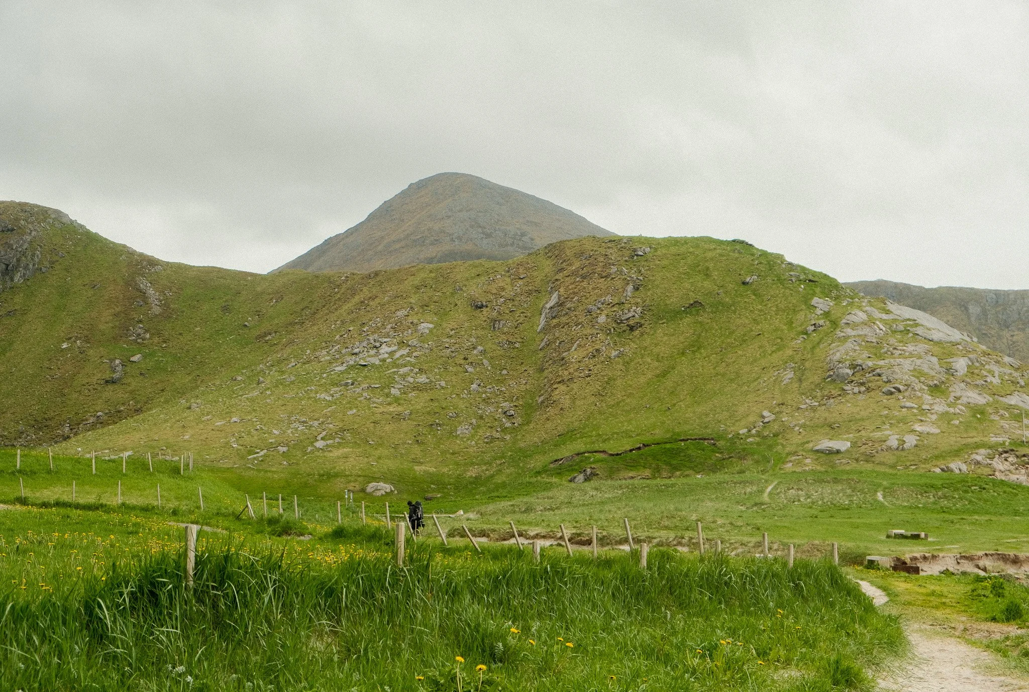 DSCF0712.jpg