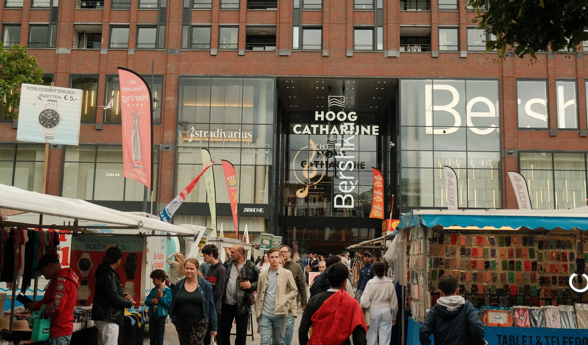 DSCF2550.jpg