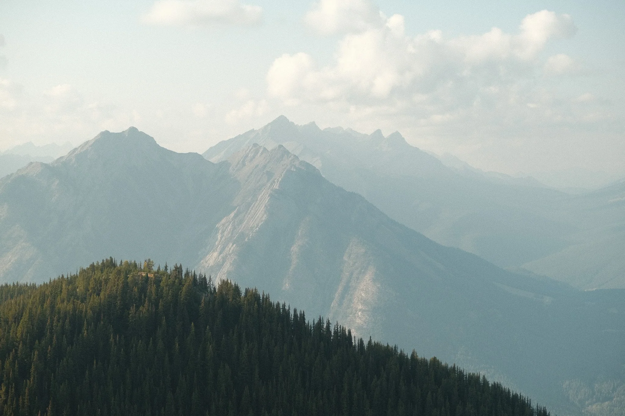 DSCF1940.jpg