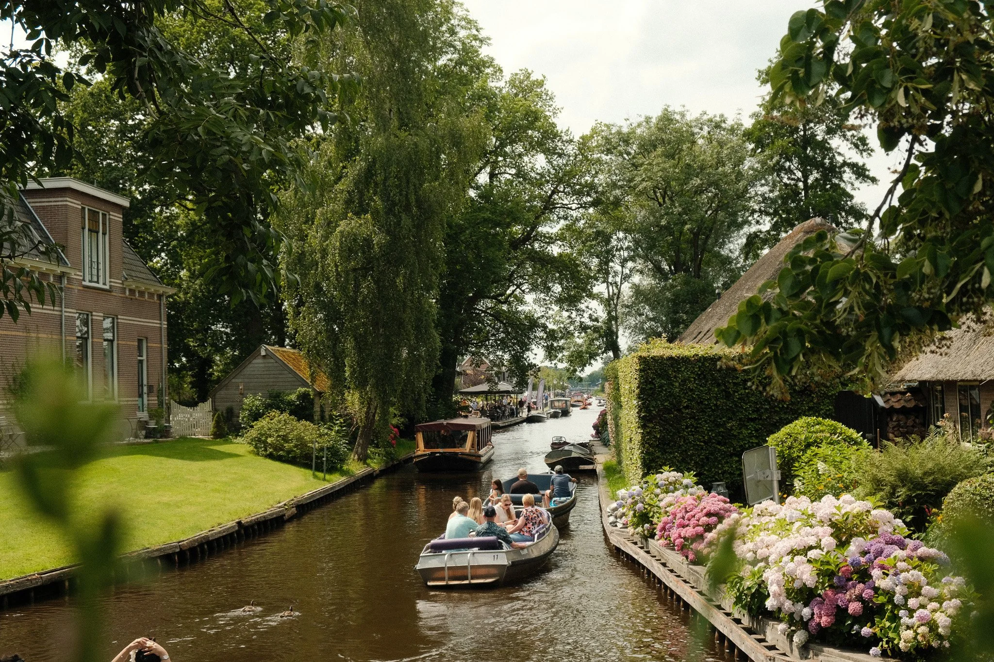 DSCF3360.jpg