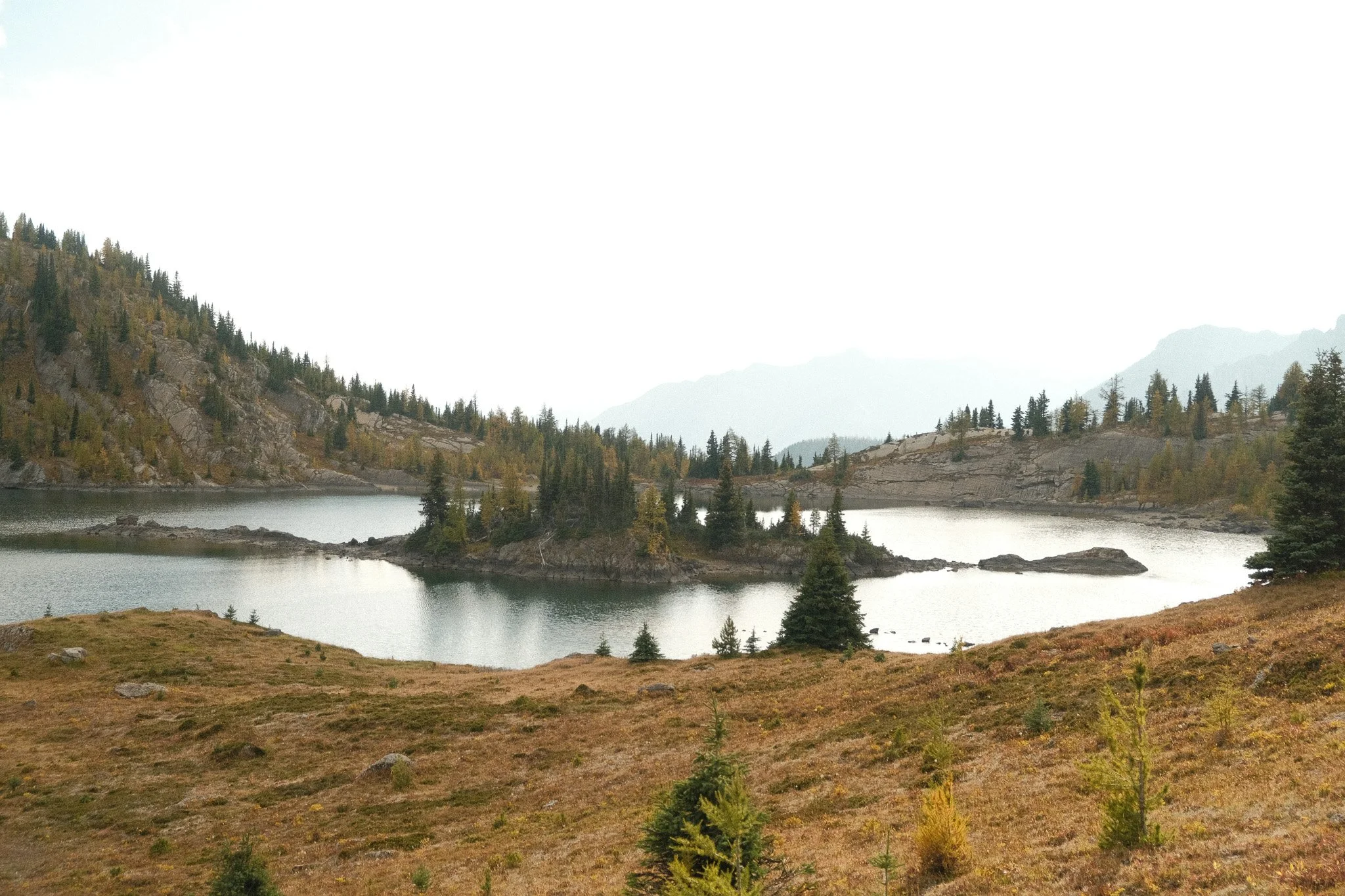 DSCF3512.jpg