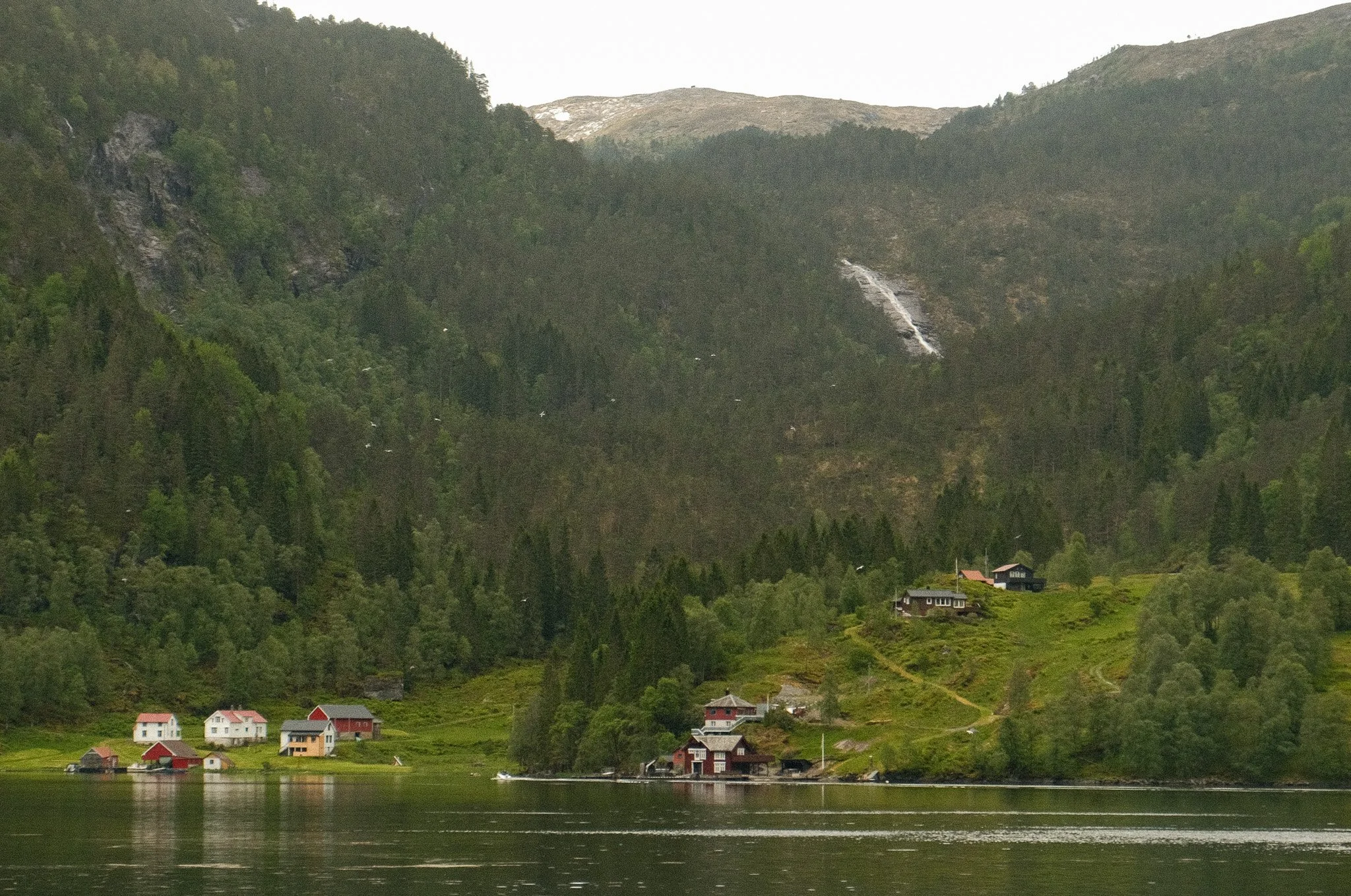 DSCF7608.jpg