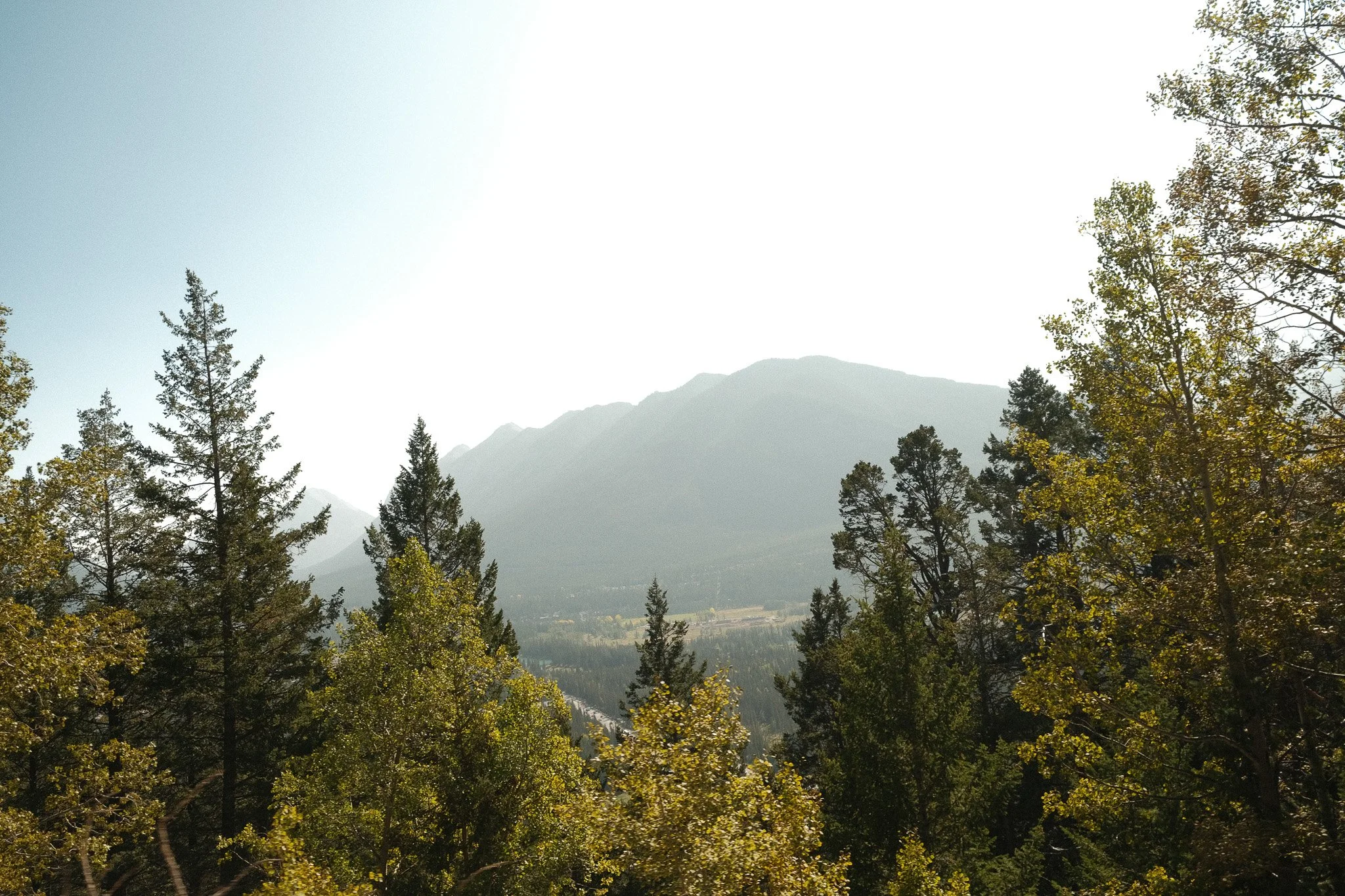 DSCF2887.jpg