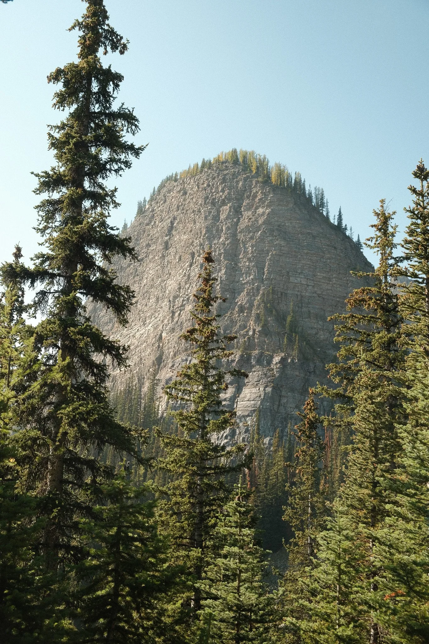 DSCF2578.jpg
