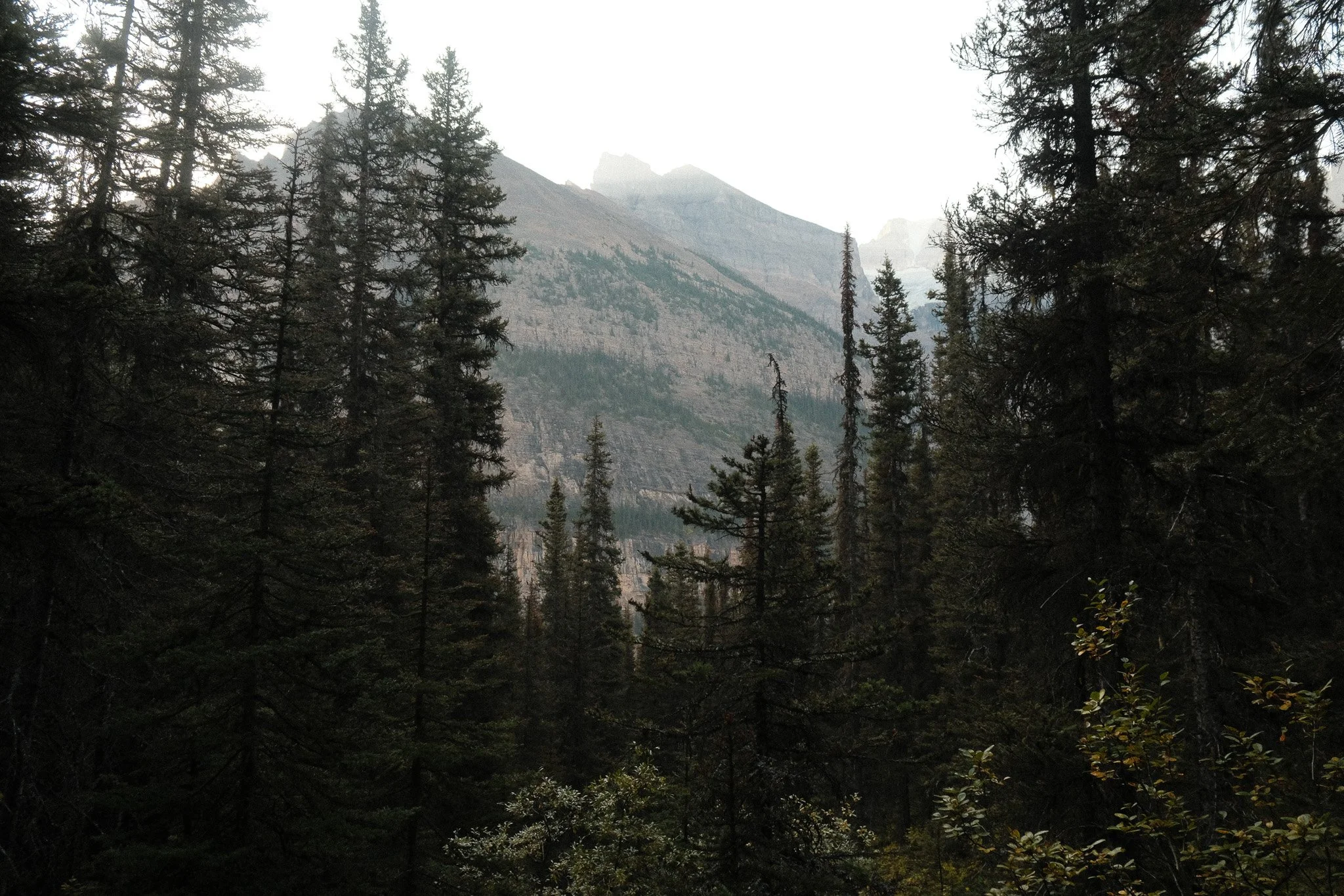 DSCF3620.jpg