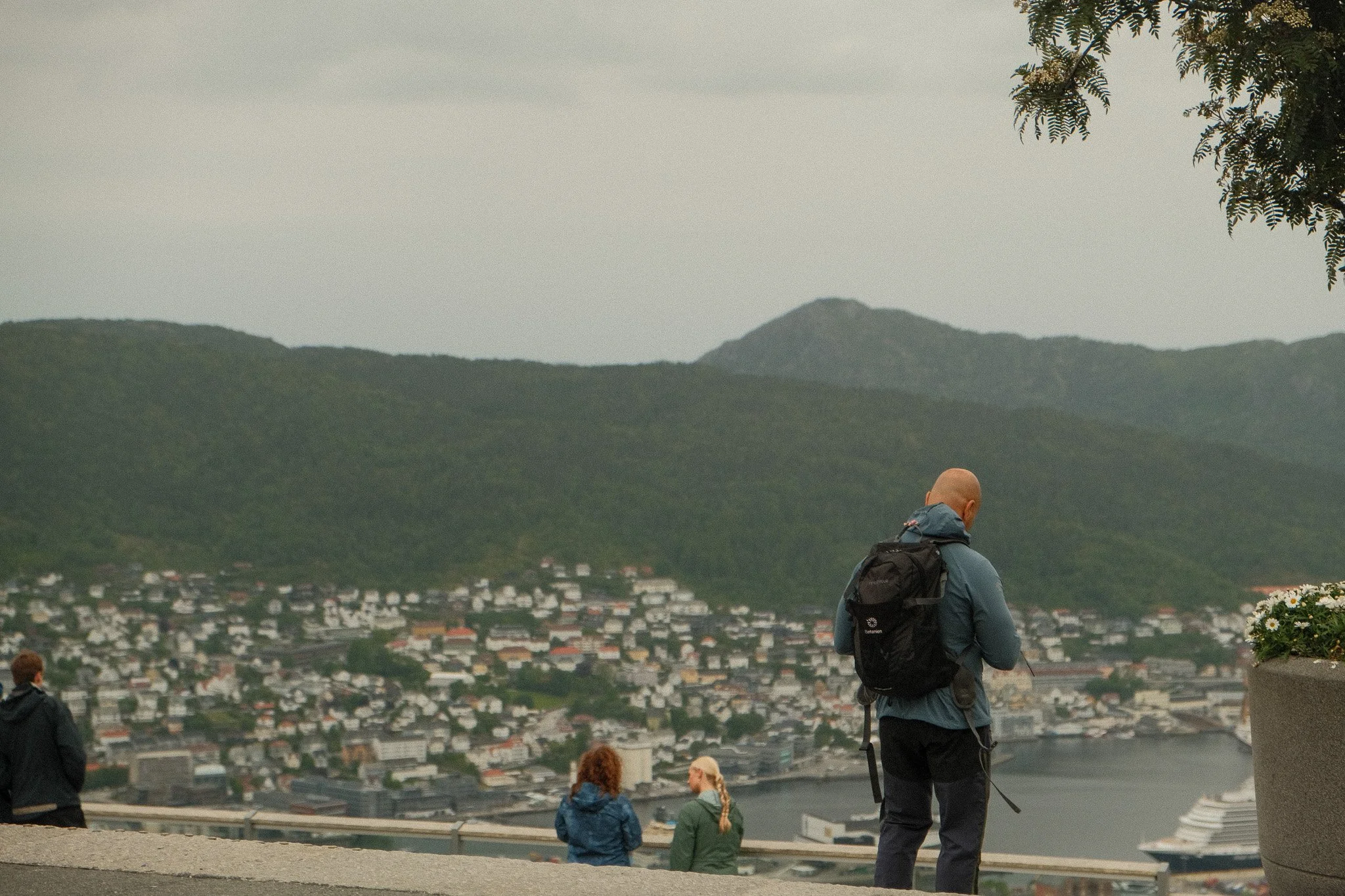 DSCF7733.jpg