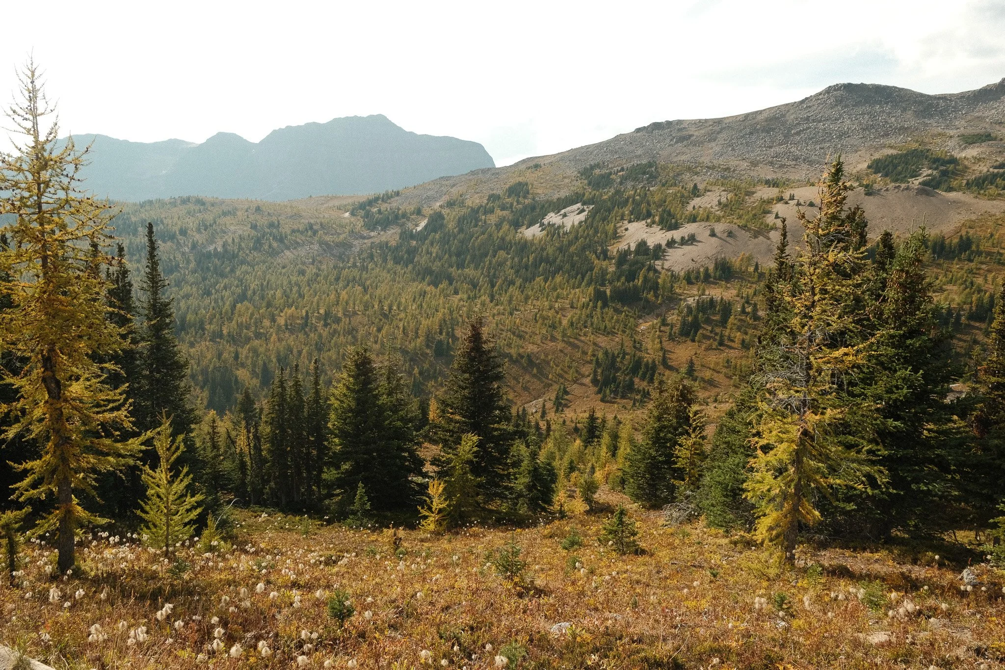 DSCF3367.jpg