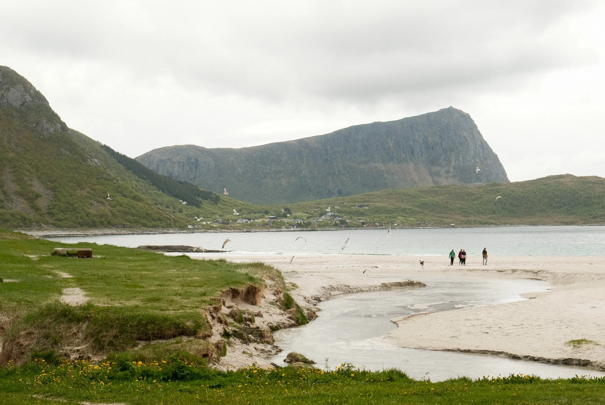 DSCF0738.jpg