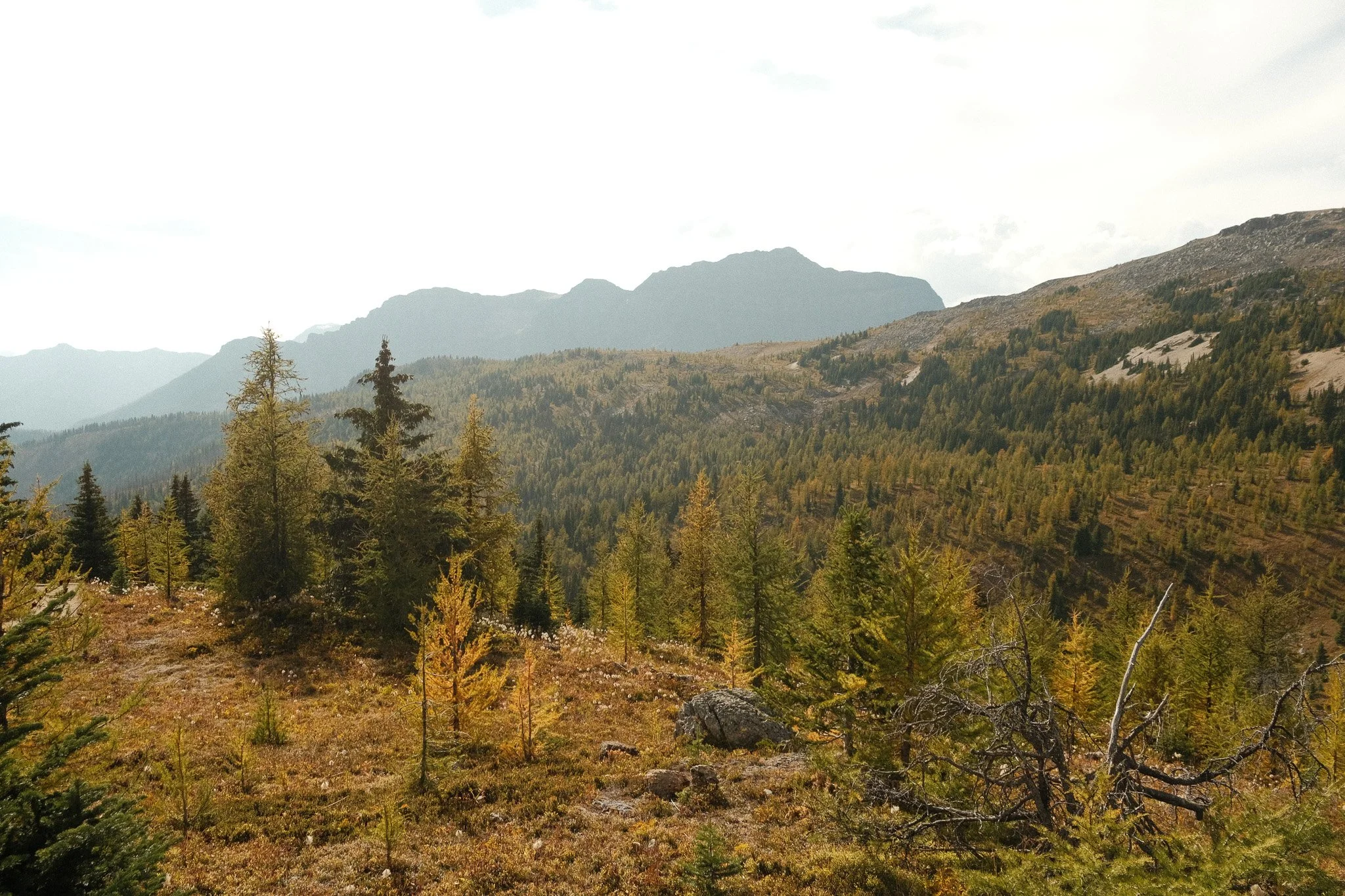 DSCF3378.jpg