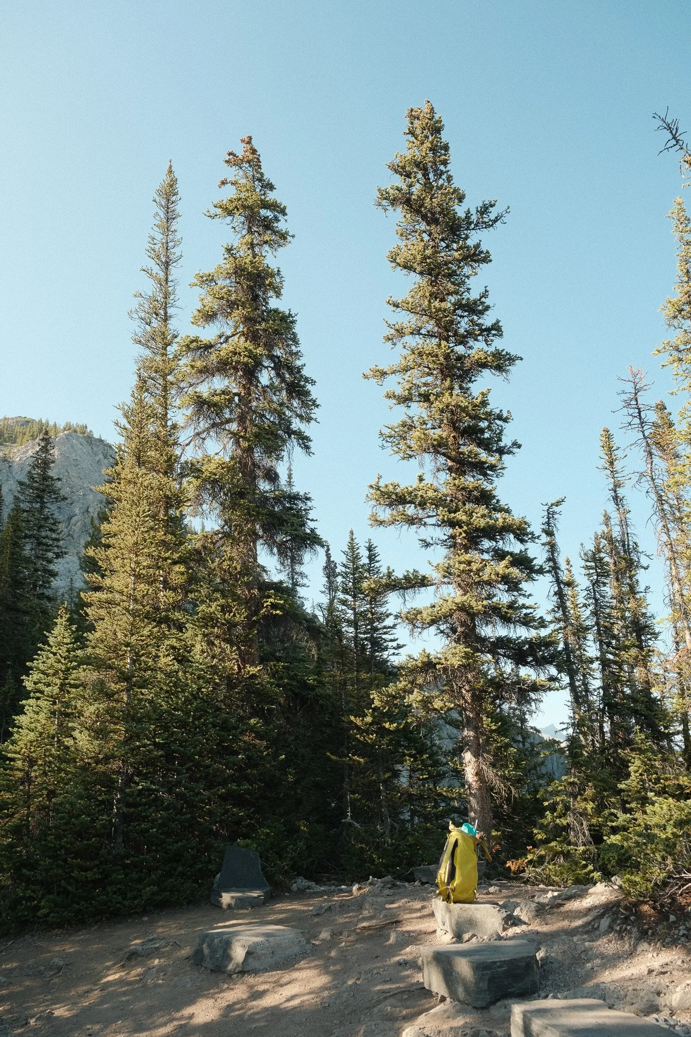 DSCF3075.jpg