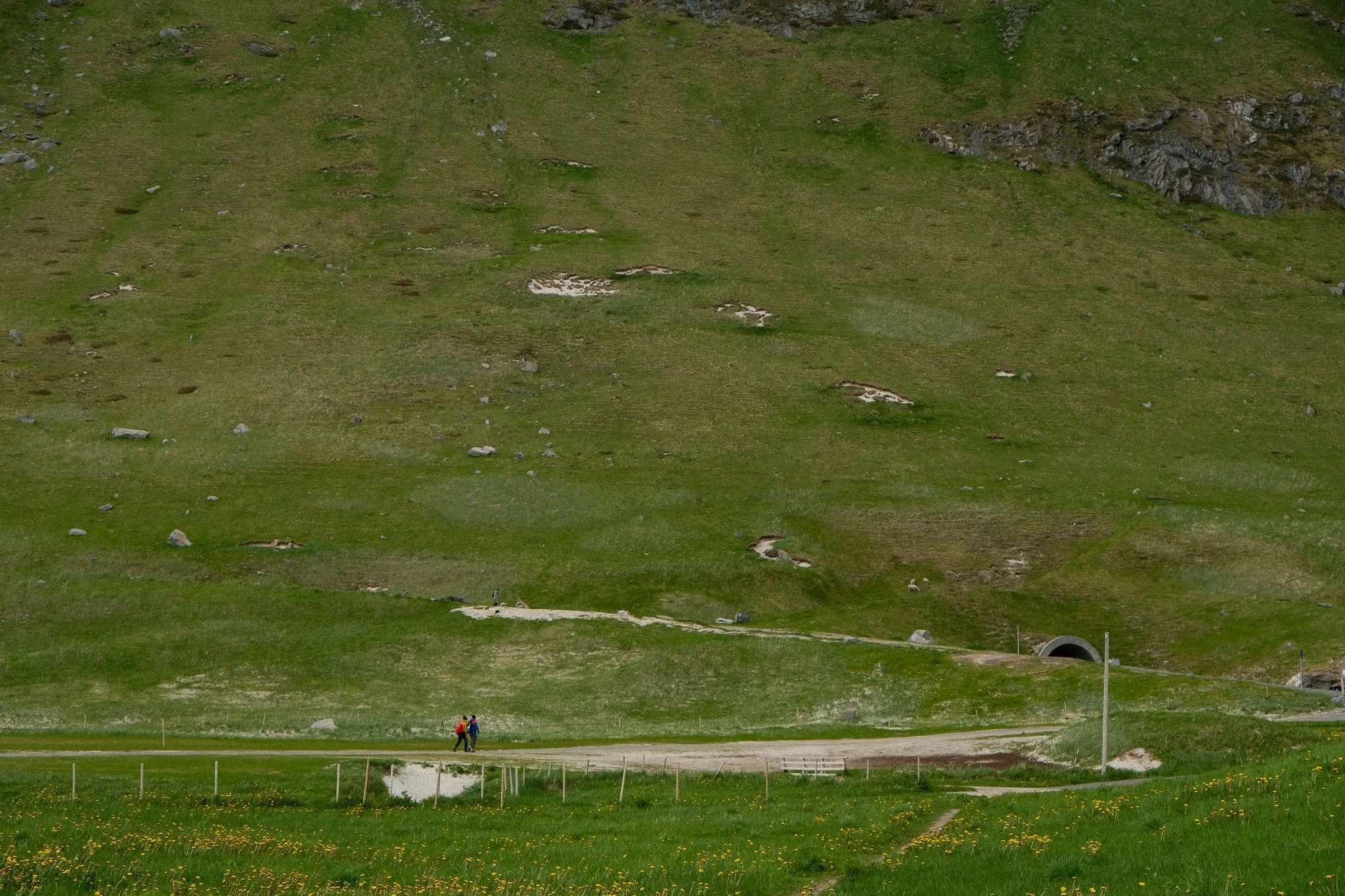 DSCF0743.jpg