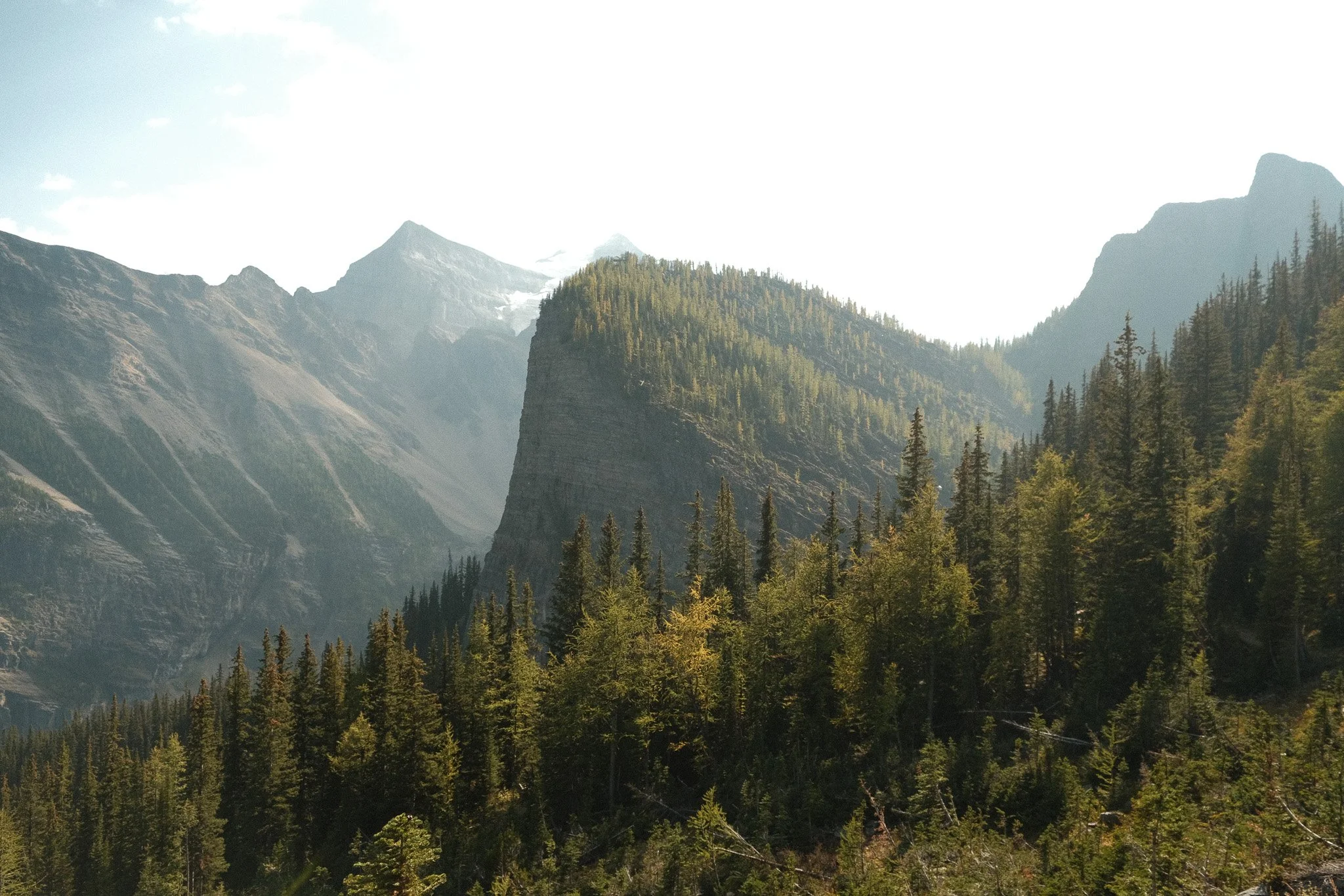 DSCF2807.jpg