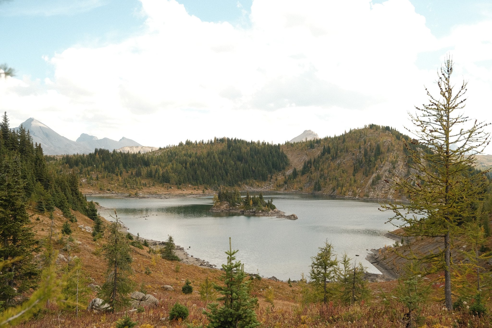 DSCF3483.jpg
