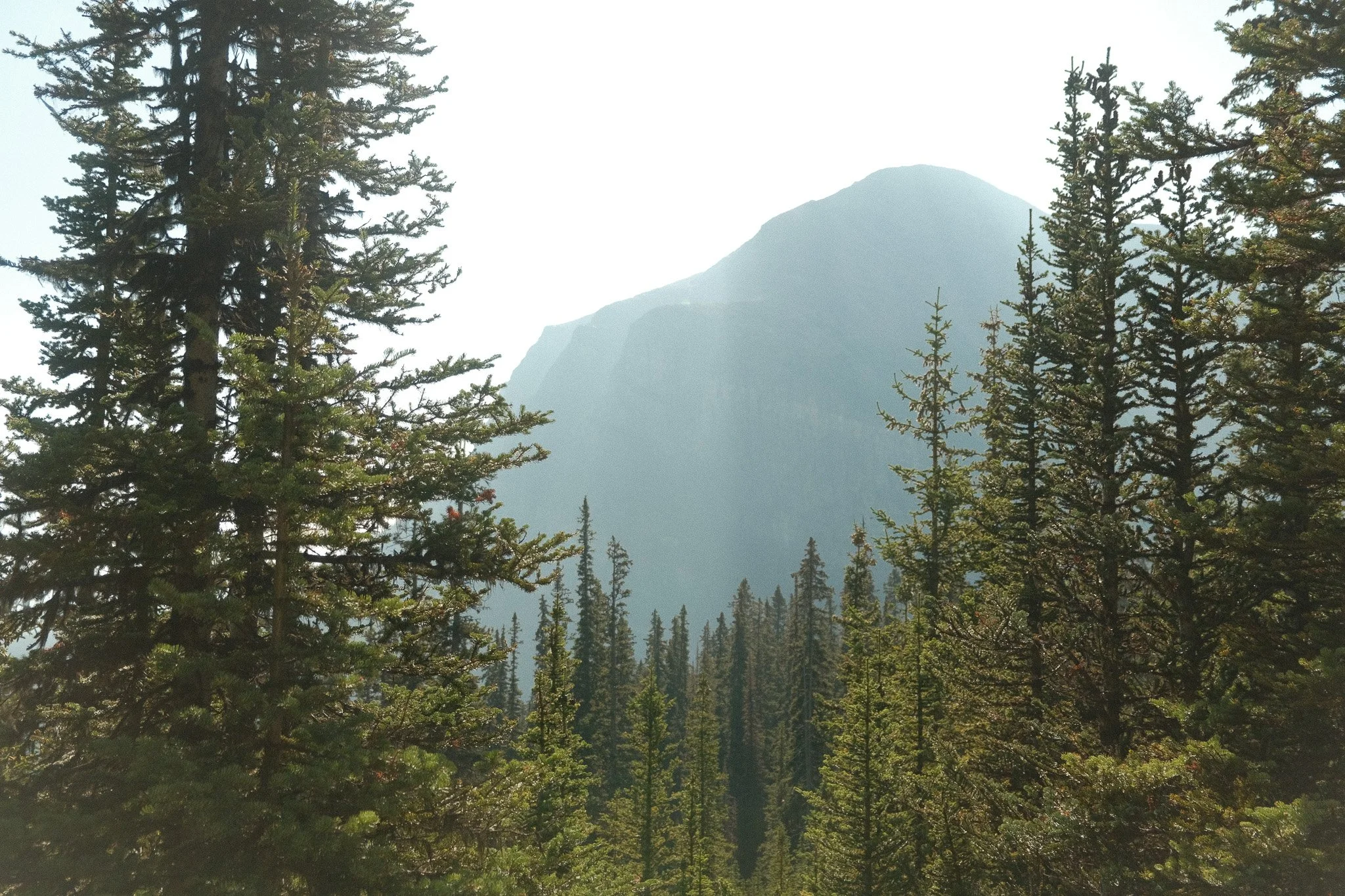 DSCF2534.jpg