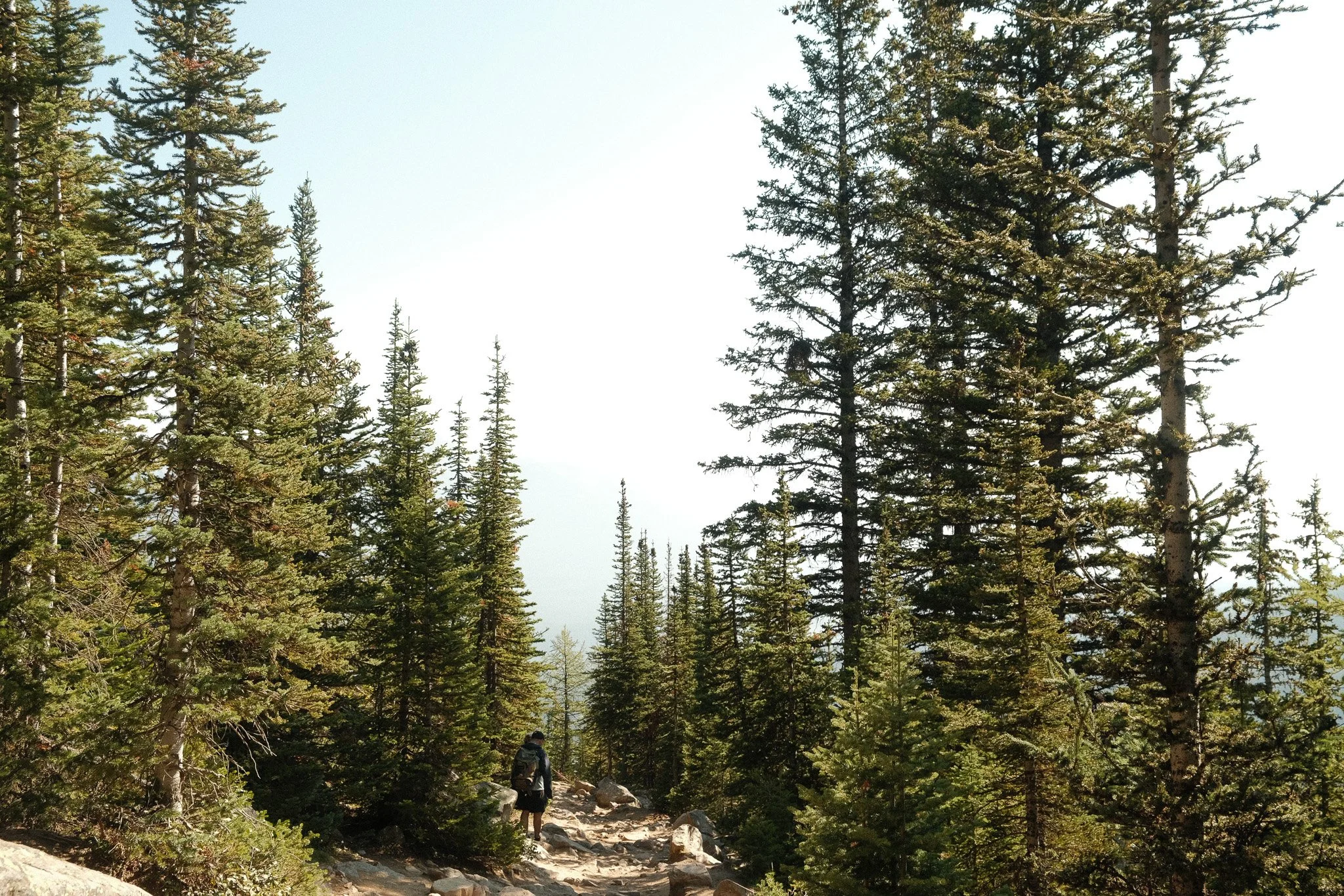 DSCF2581.jpg