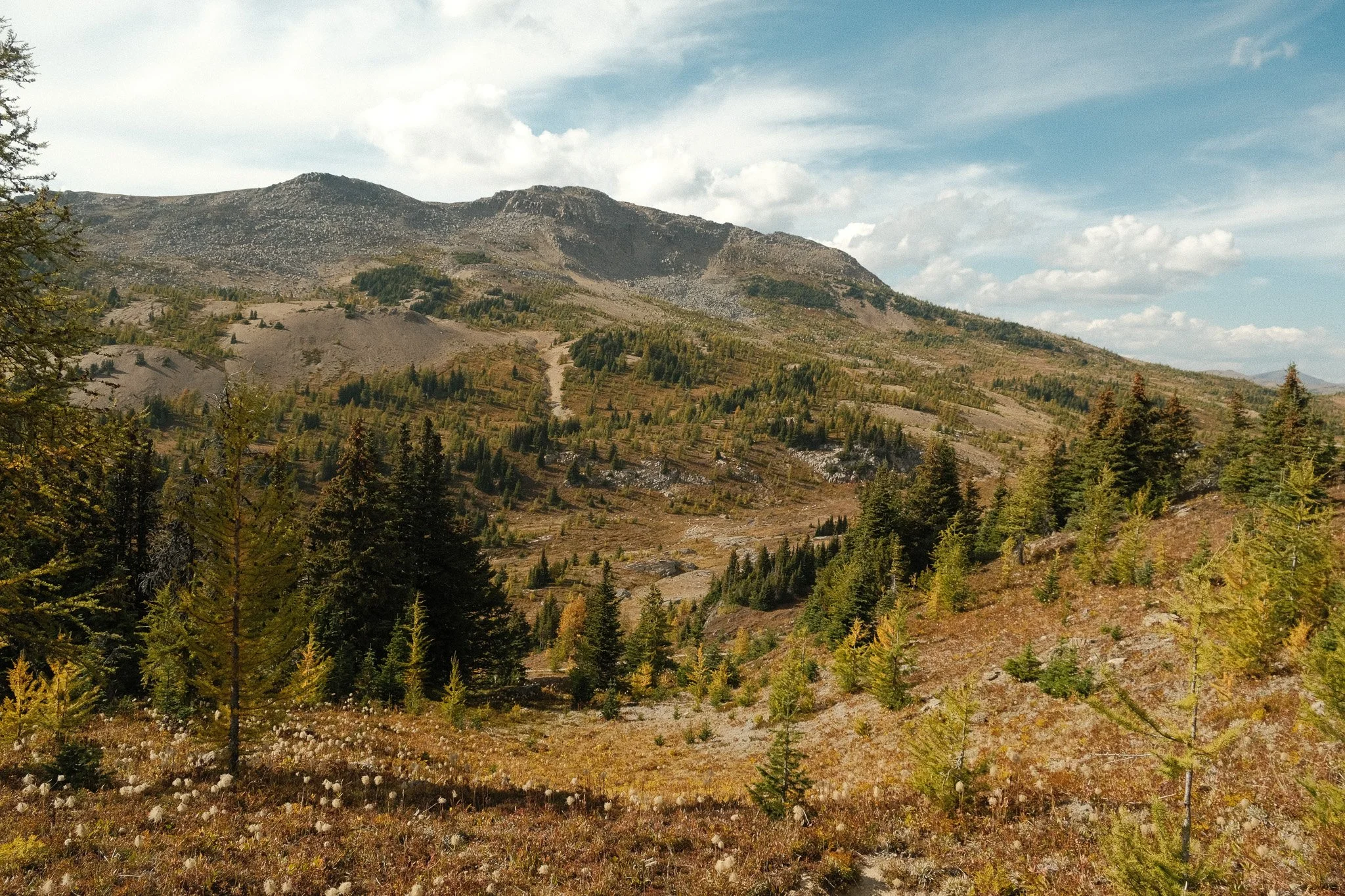 DSCF3363.jpg