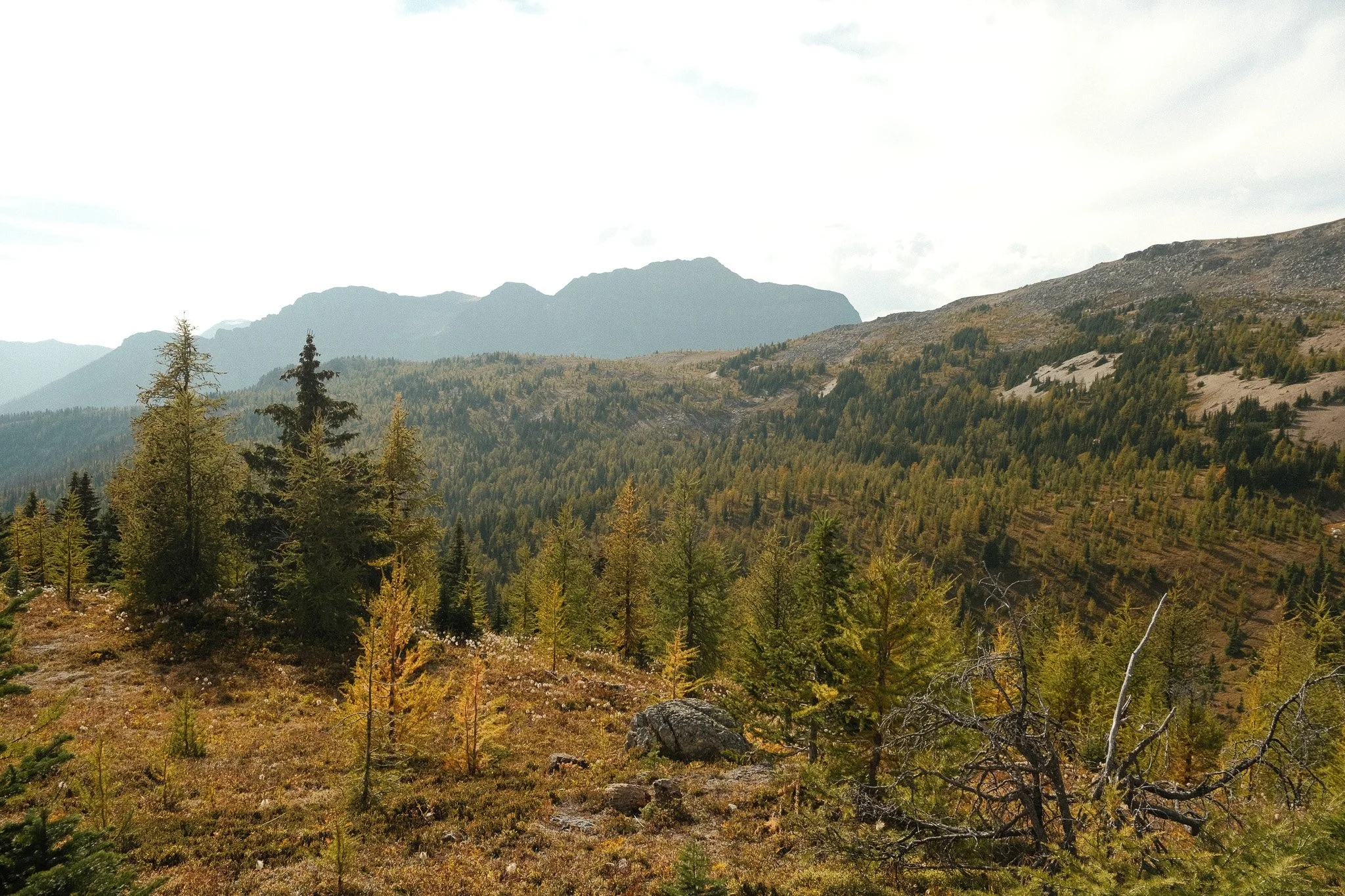 DSCF3379.jpg