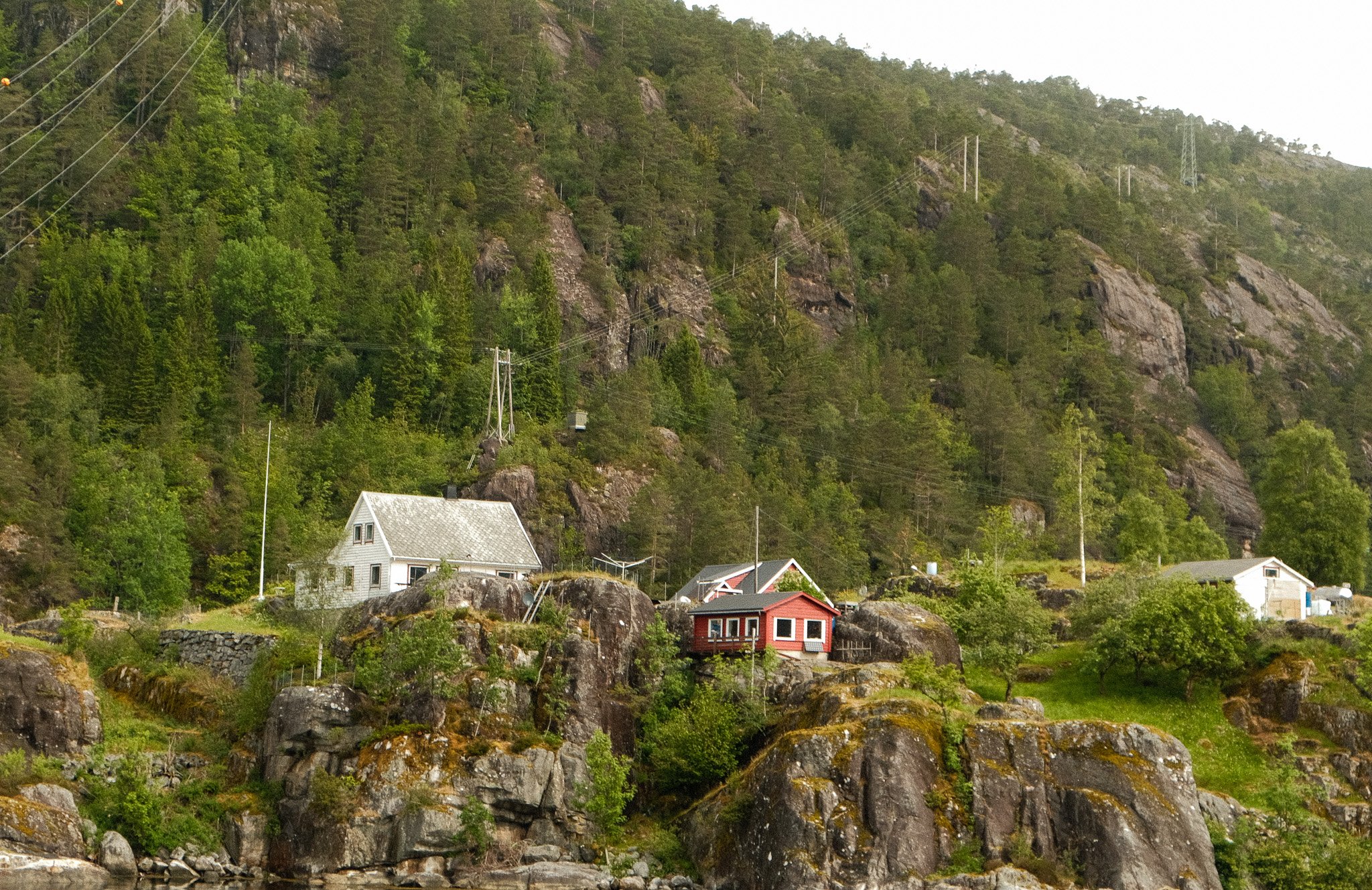 DSCF7482.jpg