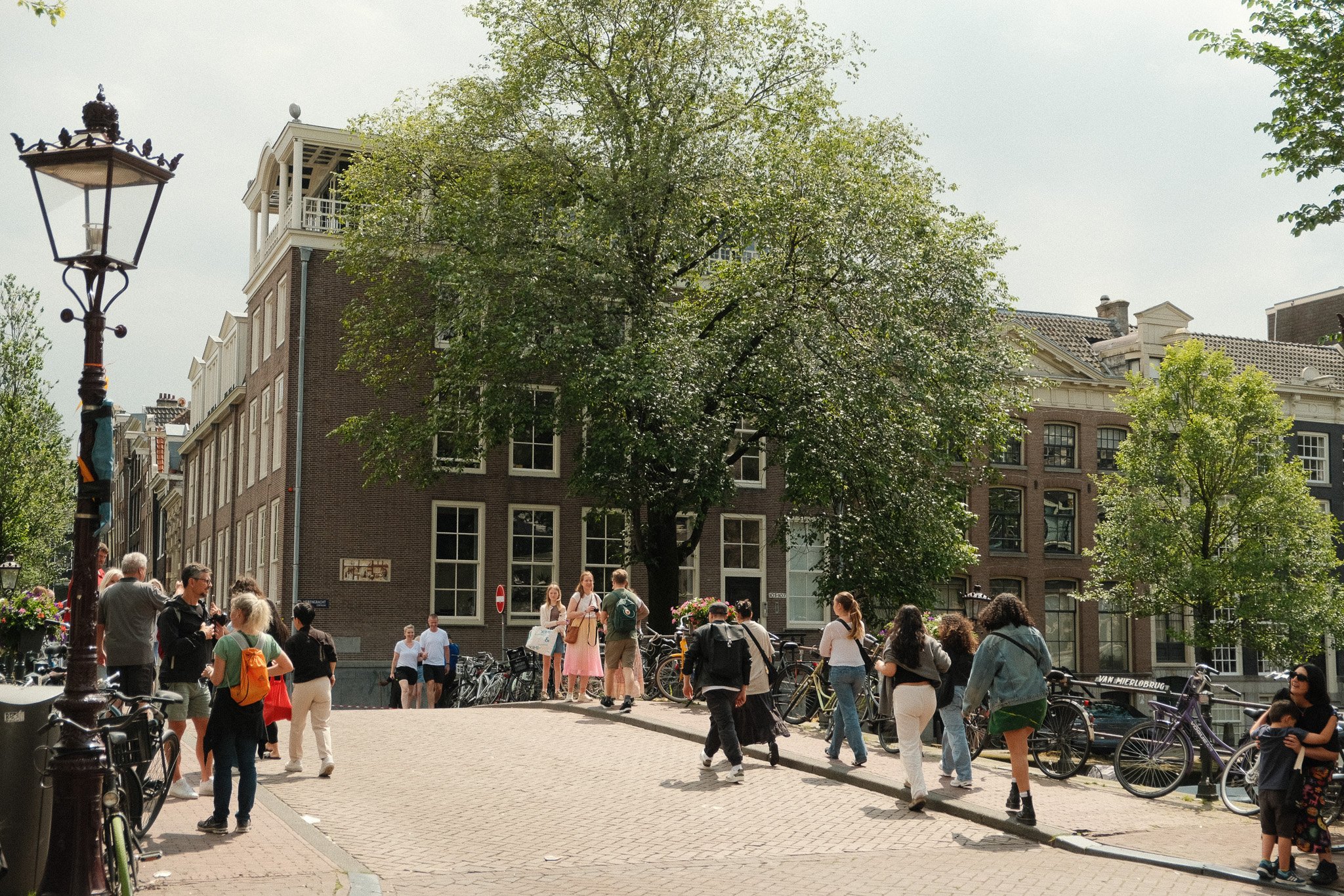 DSCF1439.jpg
