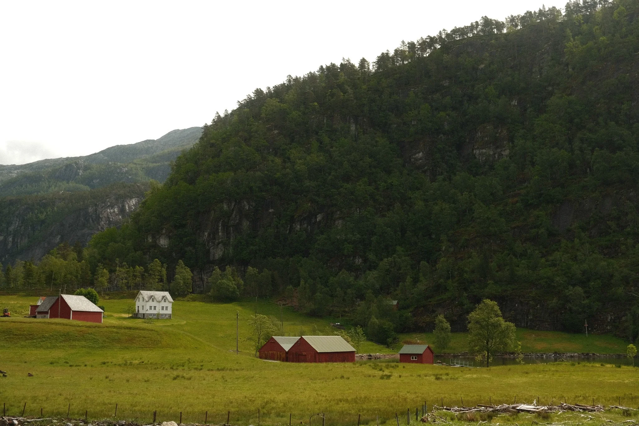 DSCF7503.jpg