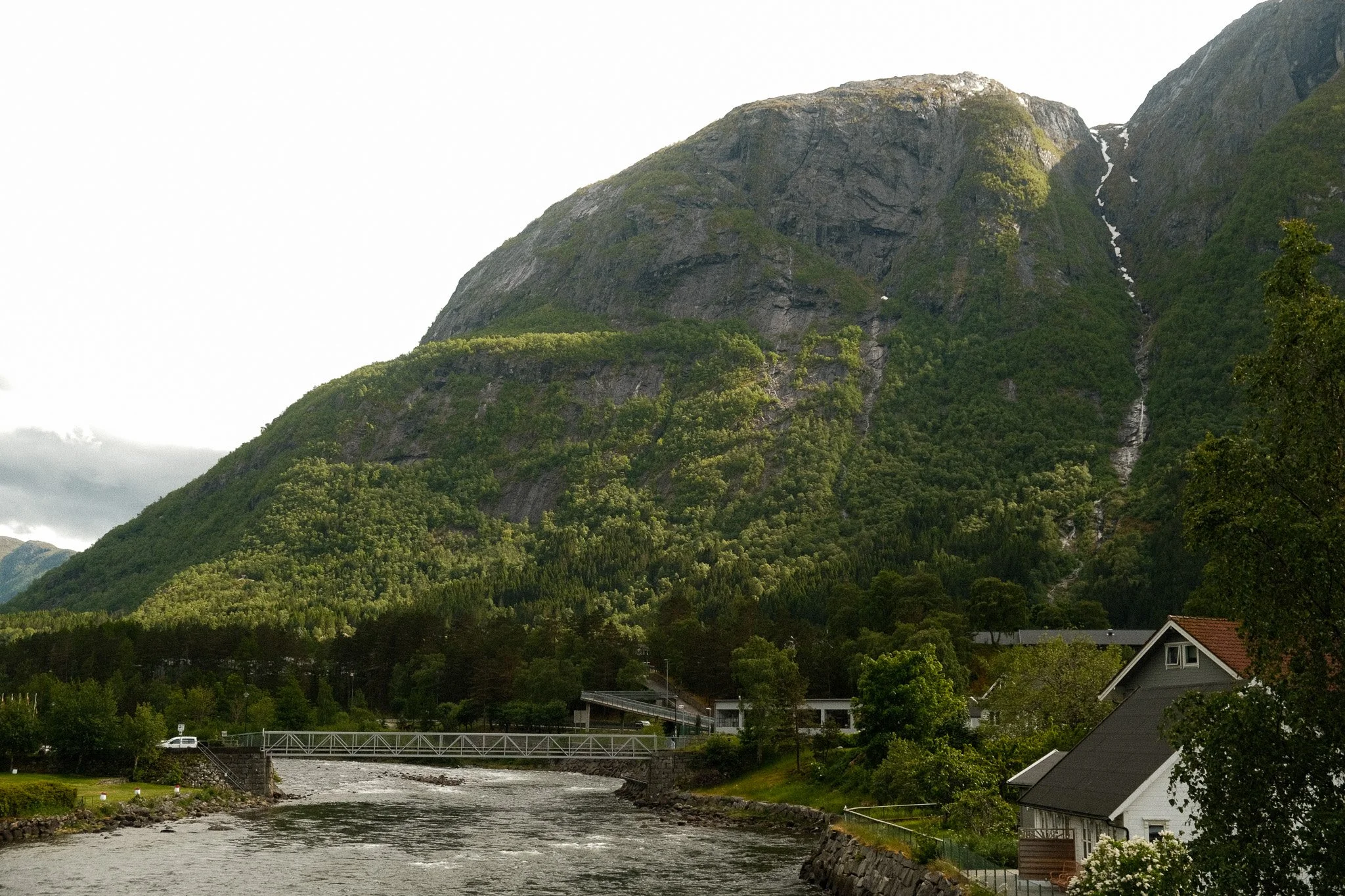 DSCF7255.jpg