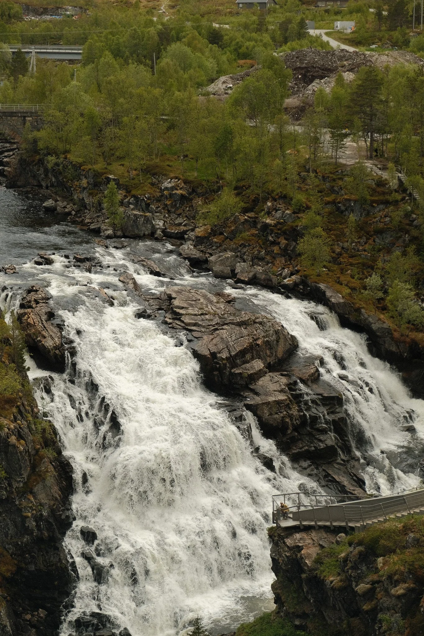 DSCF7345.jpg