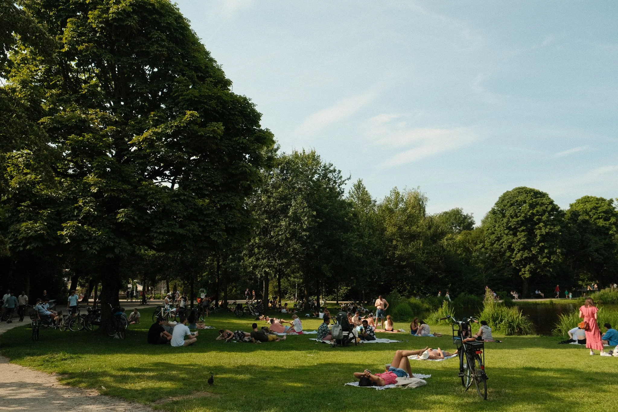 DSCF4659.jpg