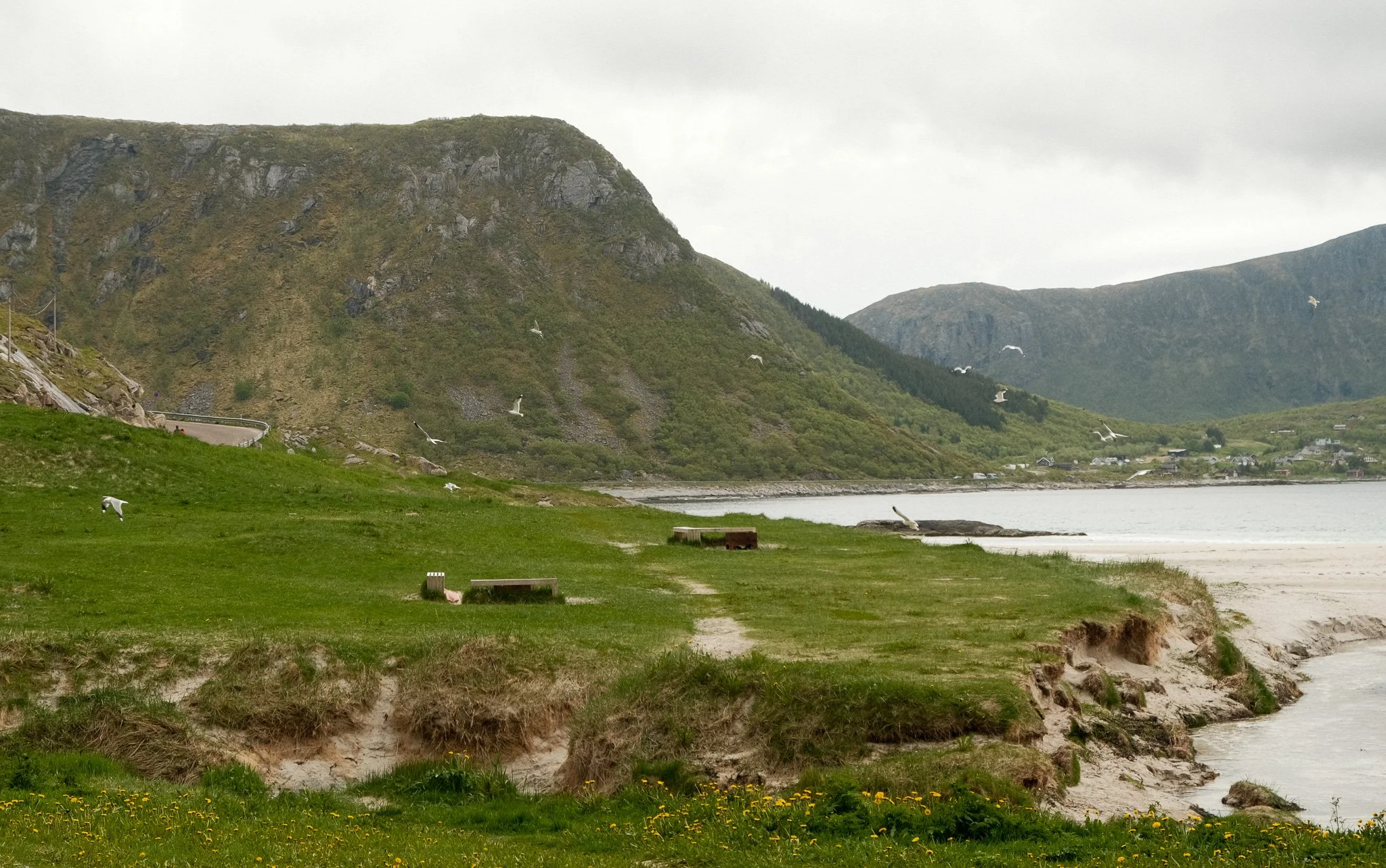 DSCF0740.jpg