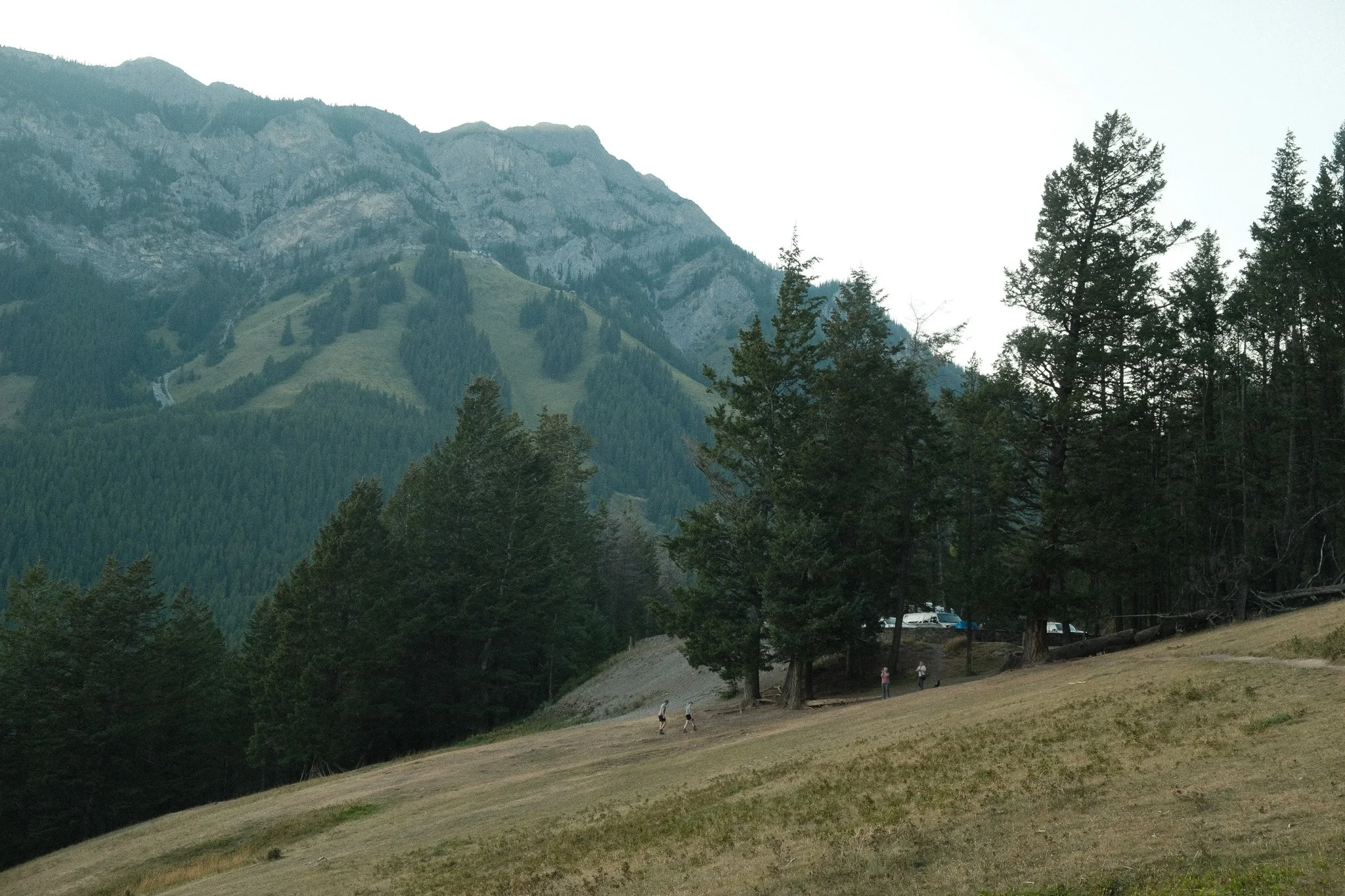 DSCF3208.jpg