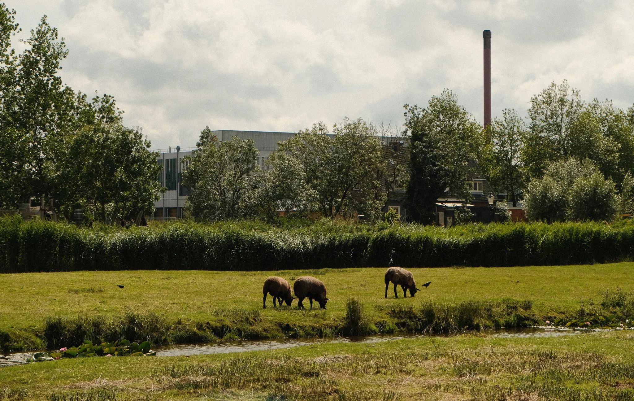DSCF3052.jpg