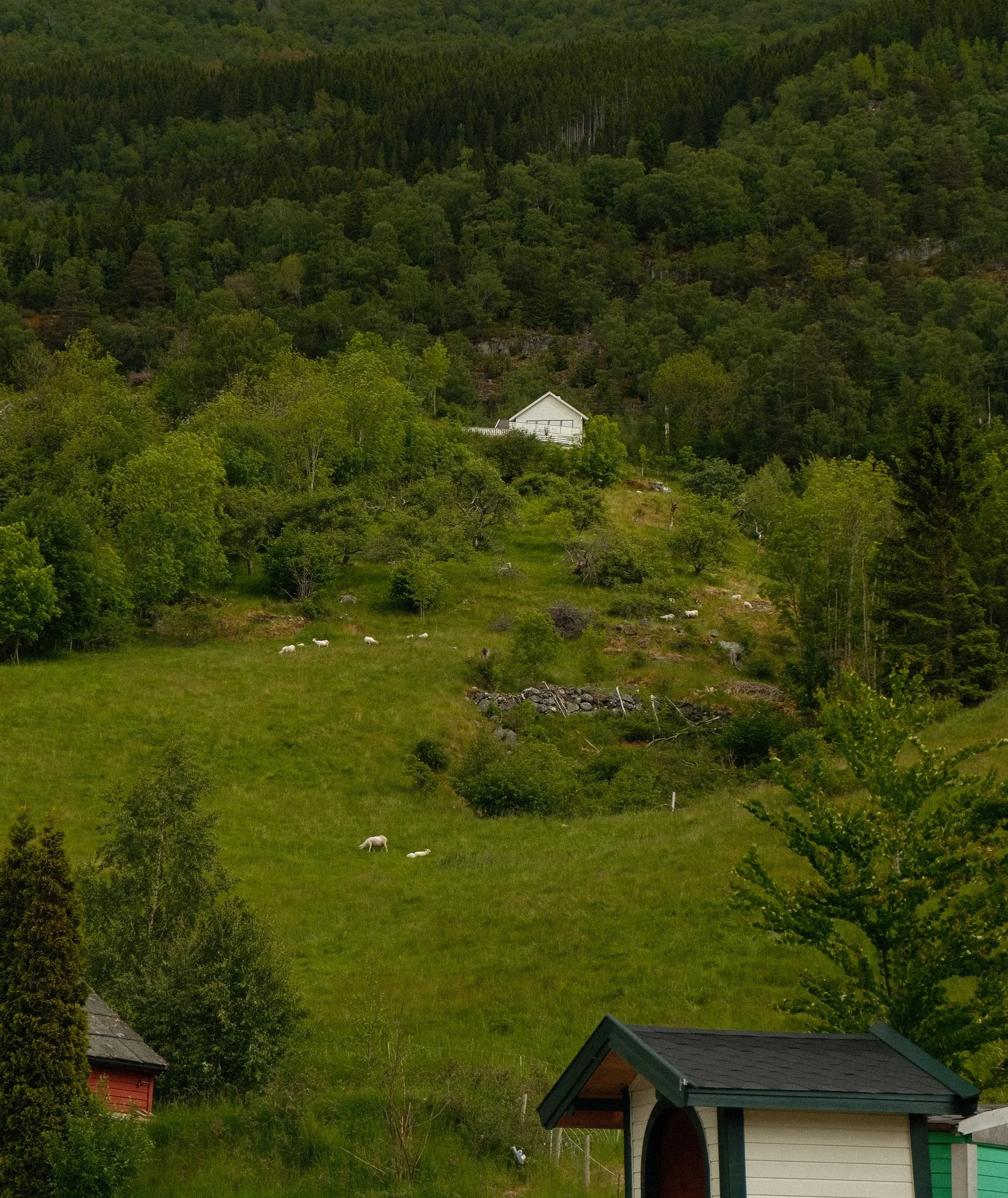DSCF7170.jpg