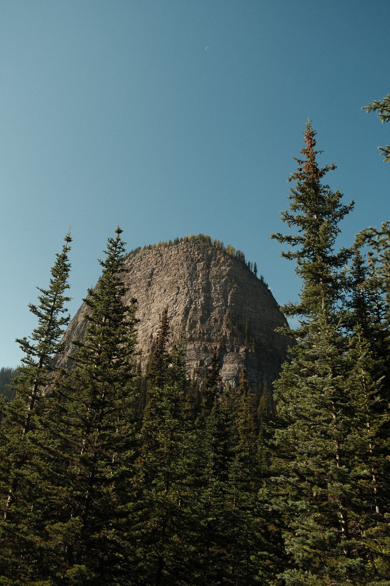 DSCF2525.jpg