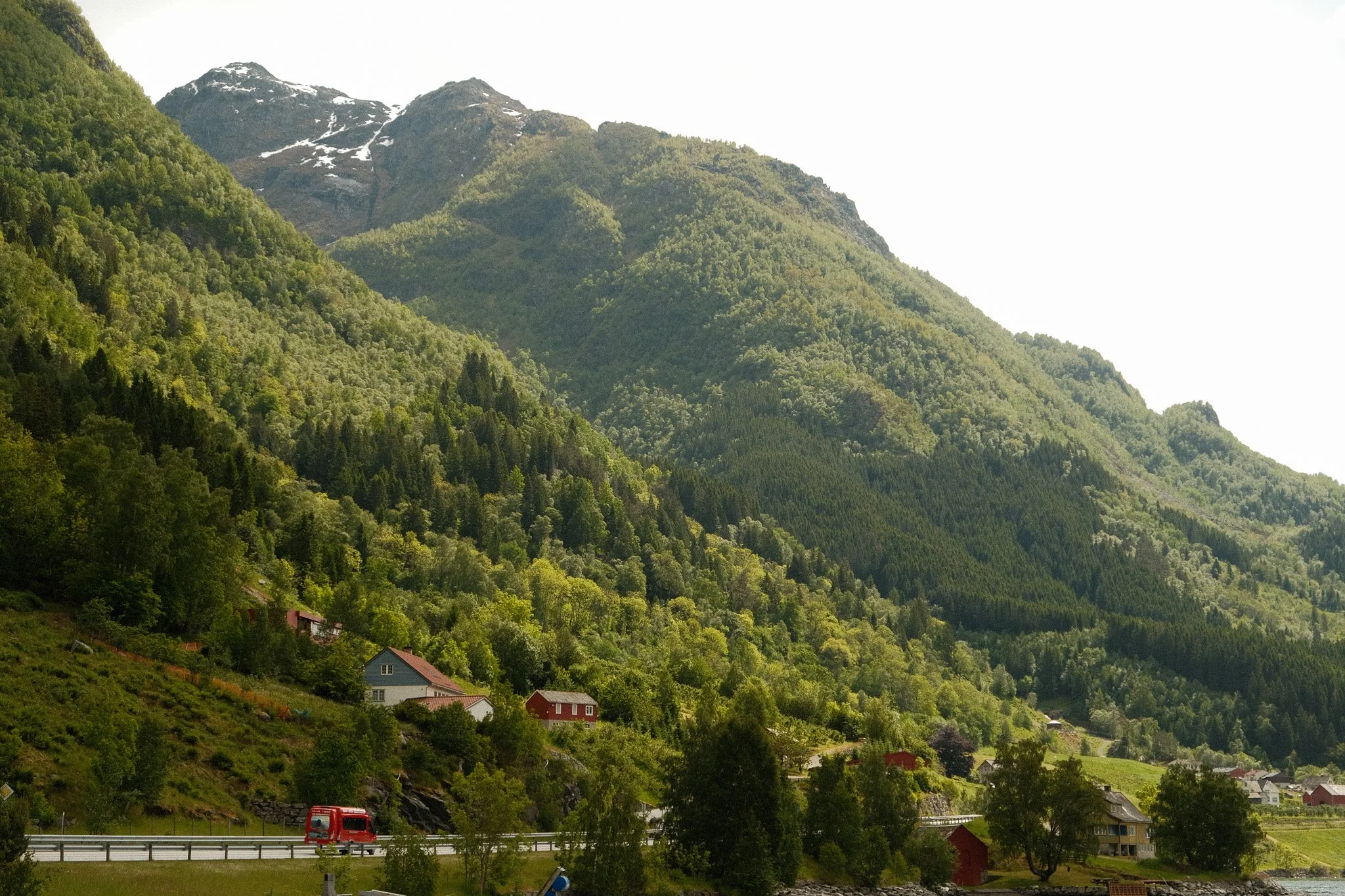 DSCF7164.jpg