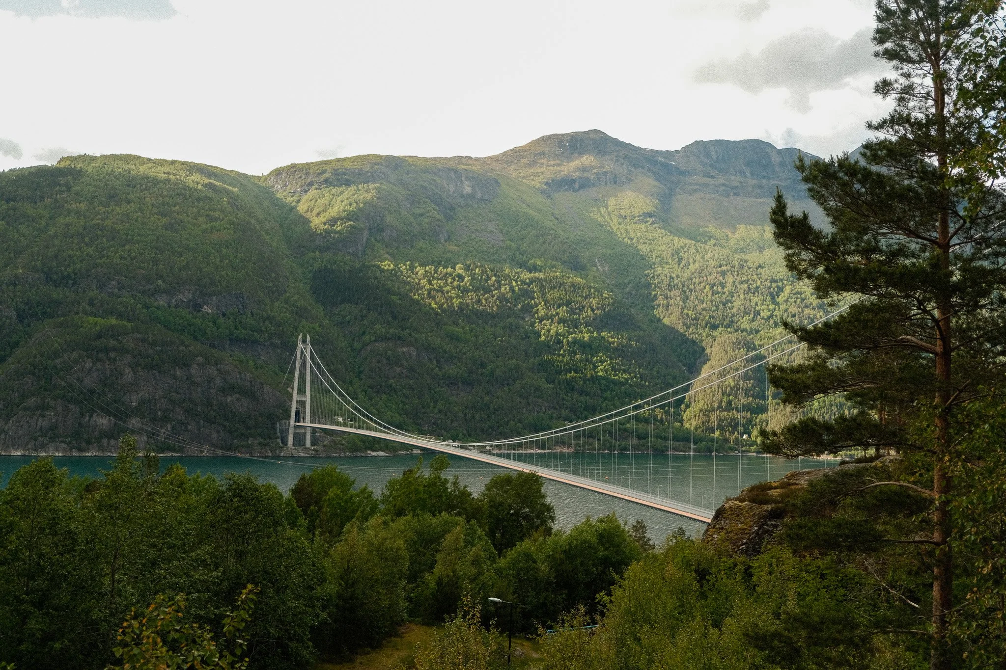 DSCF7371.jpg