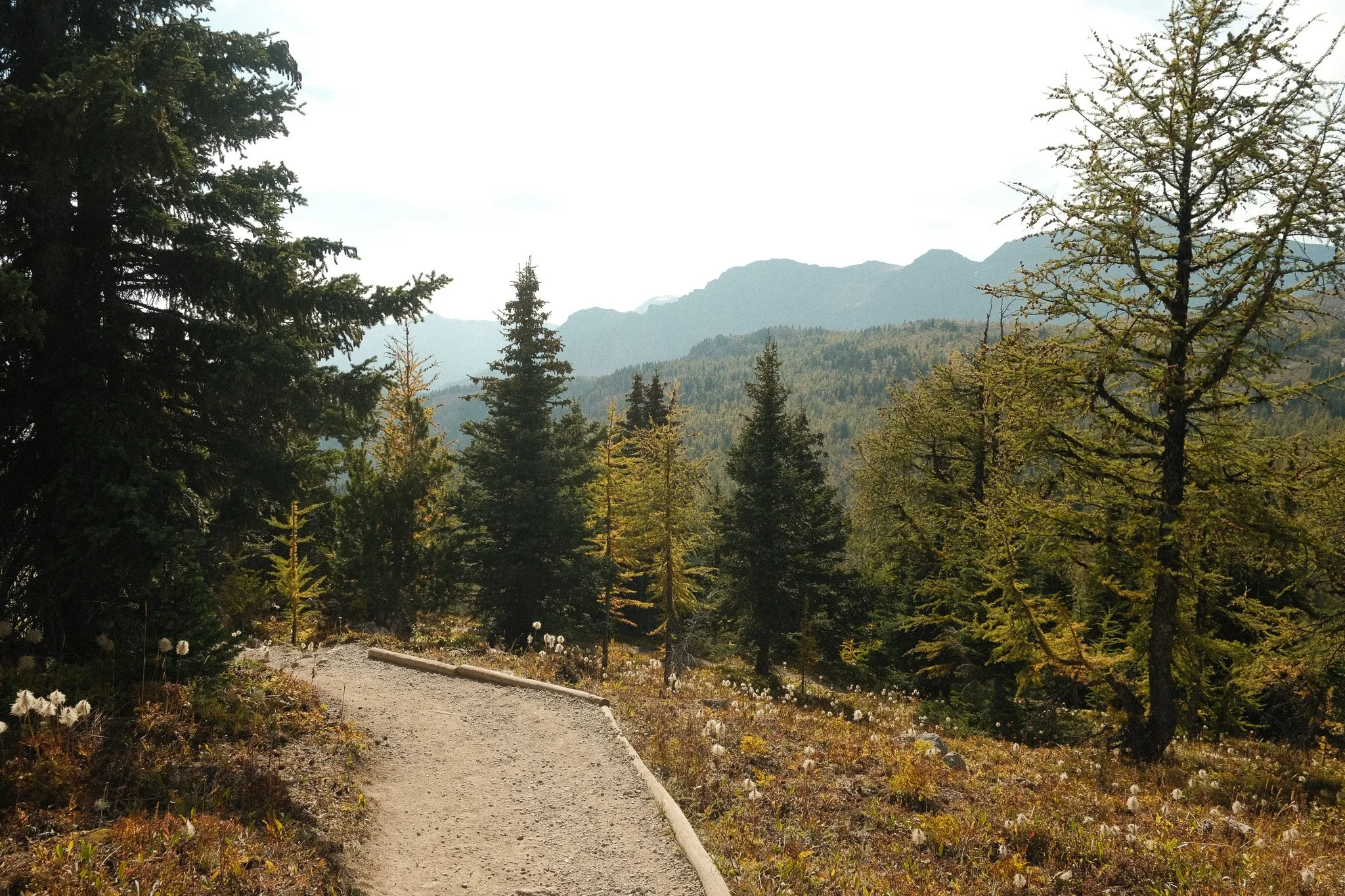 DSCF3383.jpg