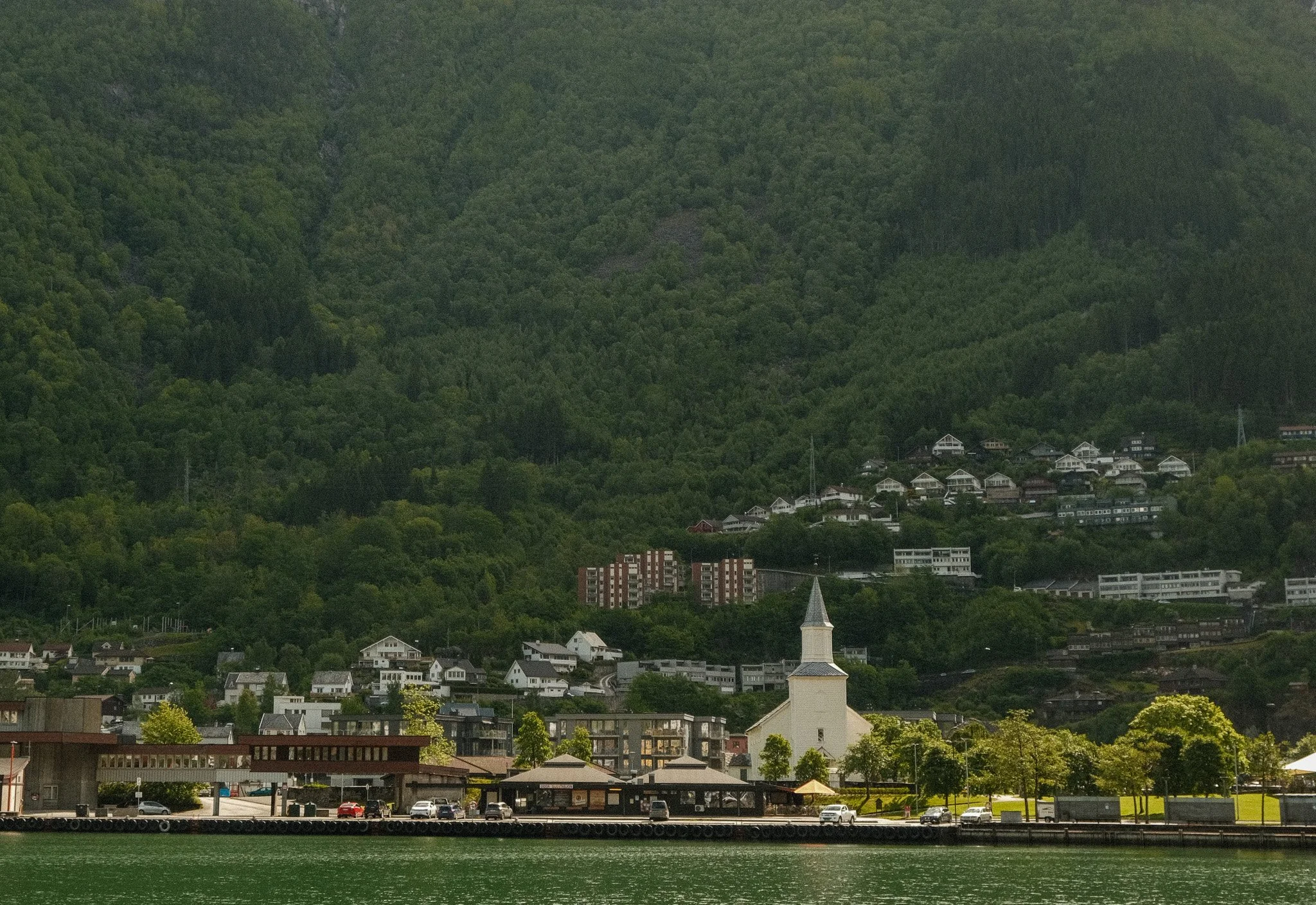 DSCF7065.jpg