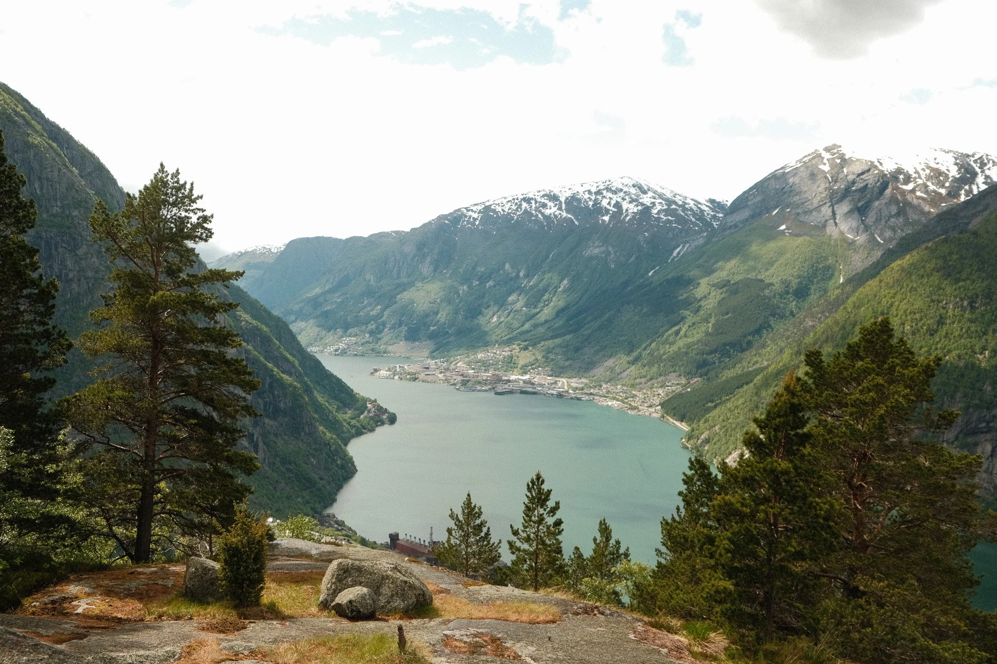 DSCF7081.jpg