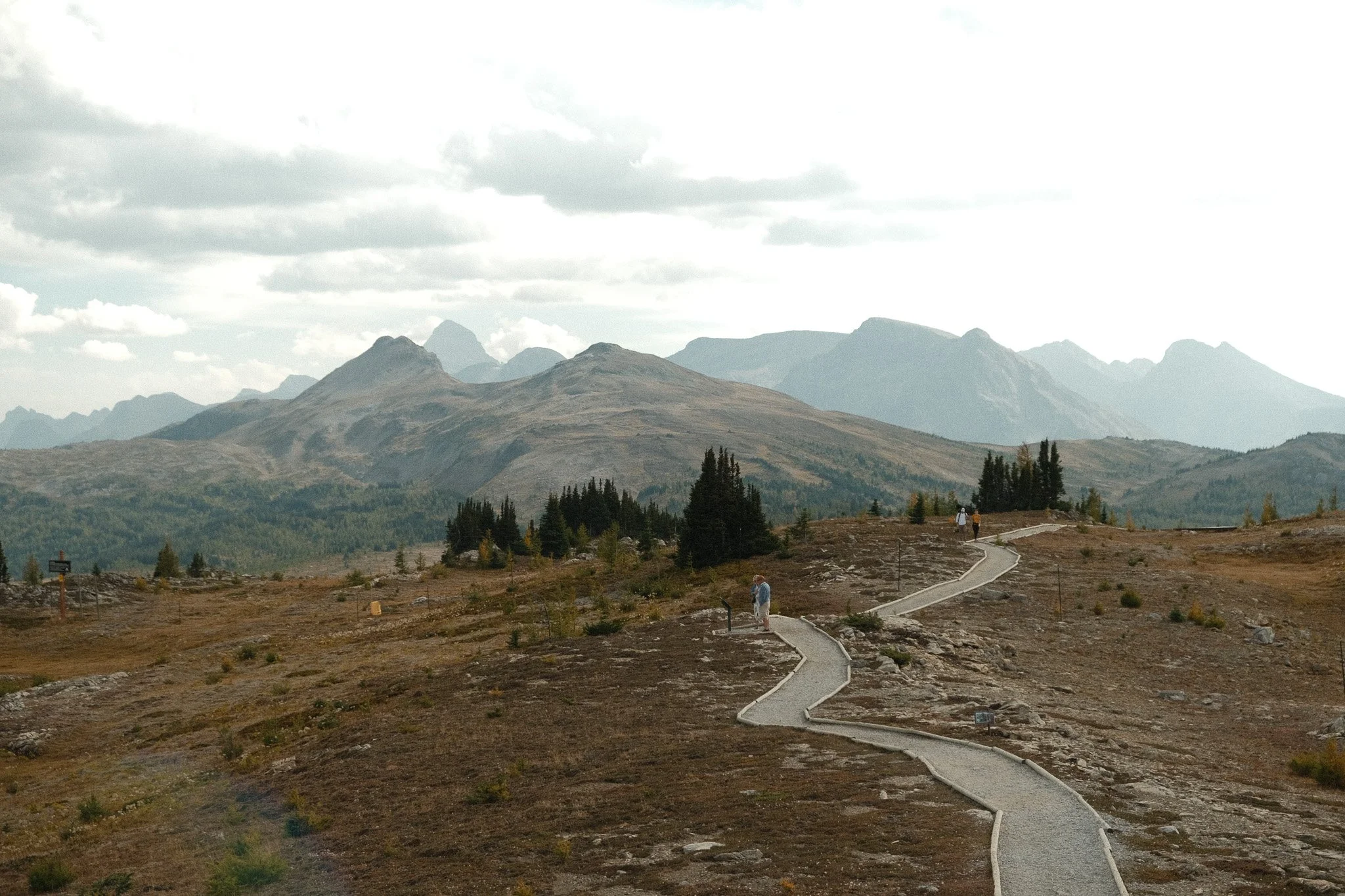 DSCF3311.jpg