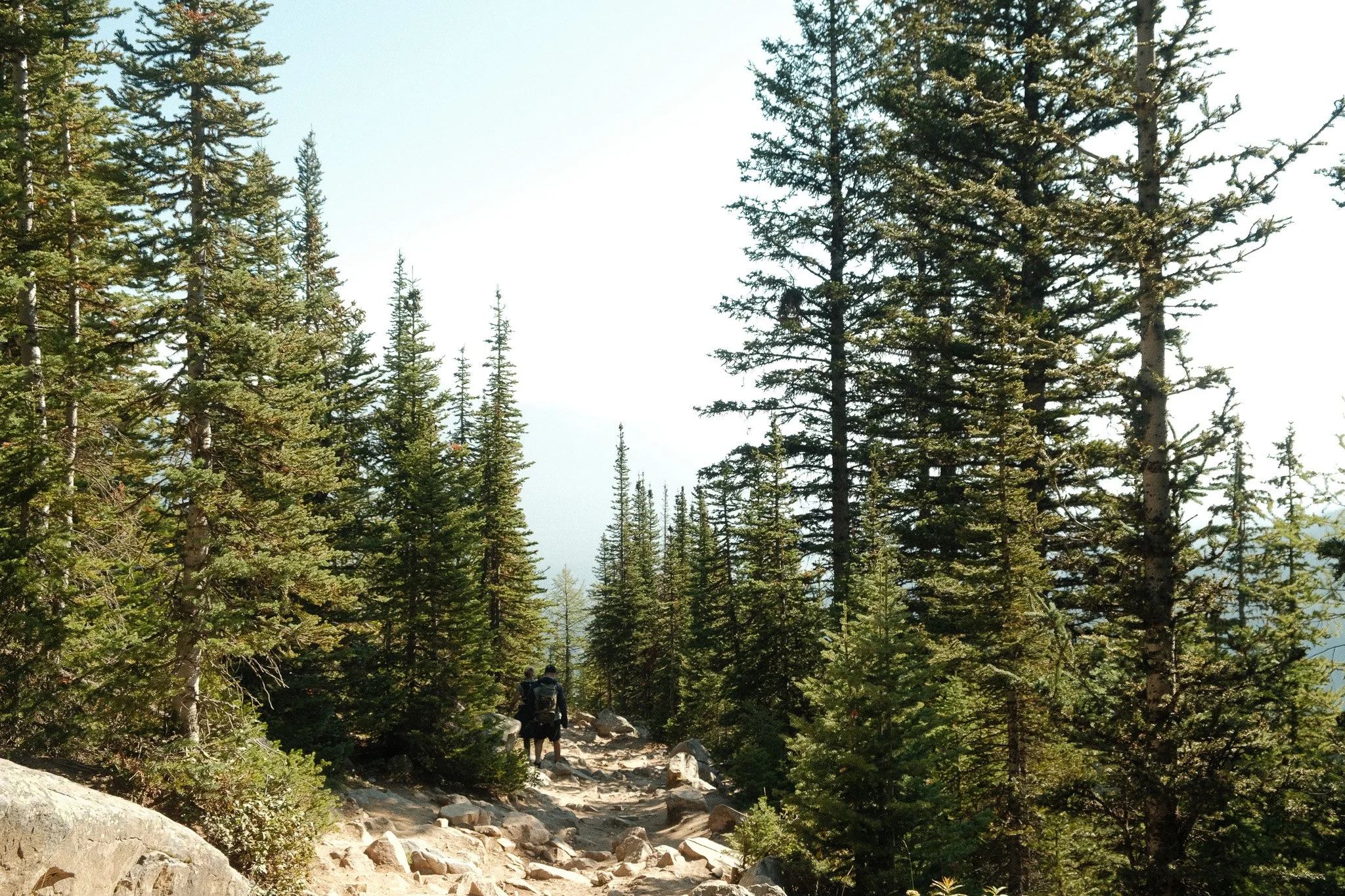 DSCF2582.jpg