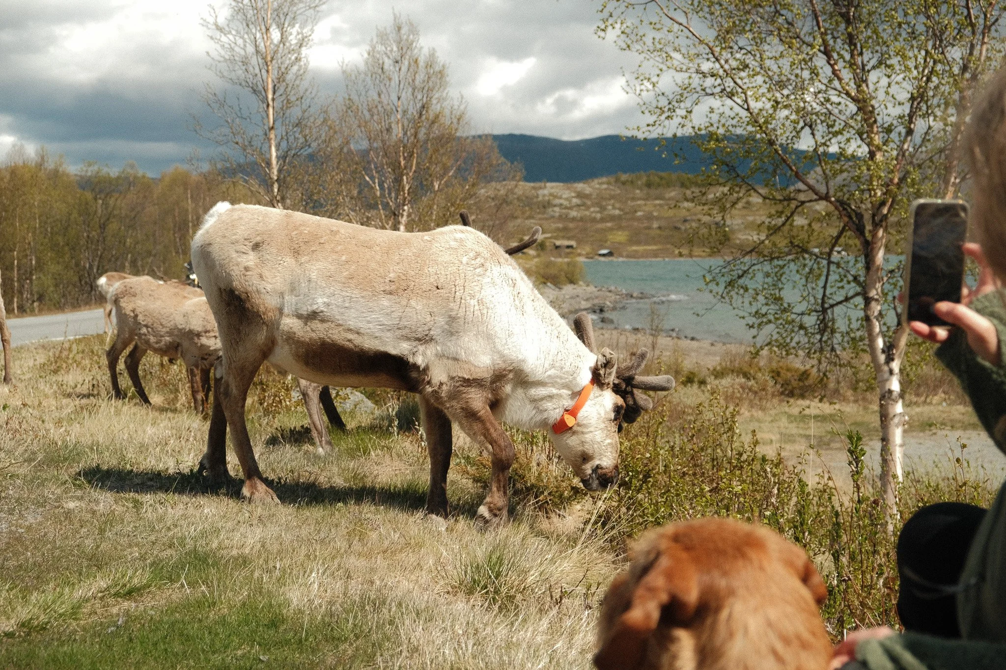 DSCF0192.jpg