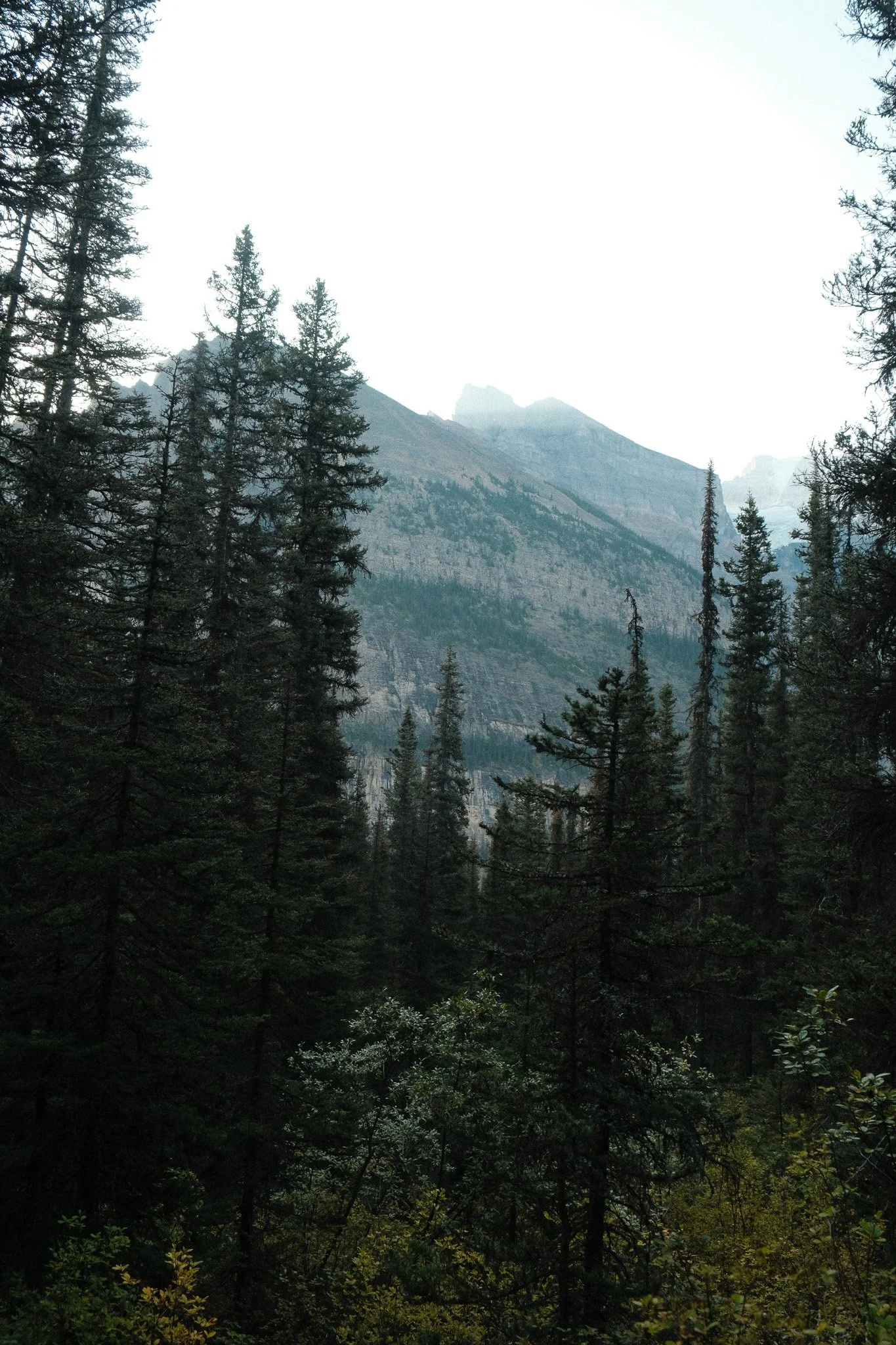 DSCF3622.jpg