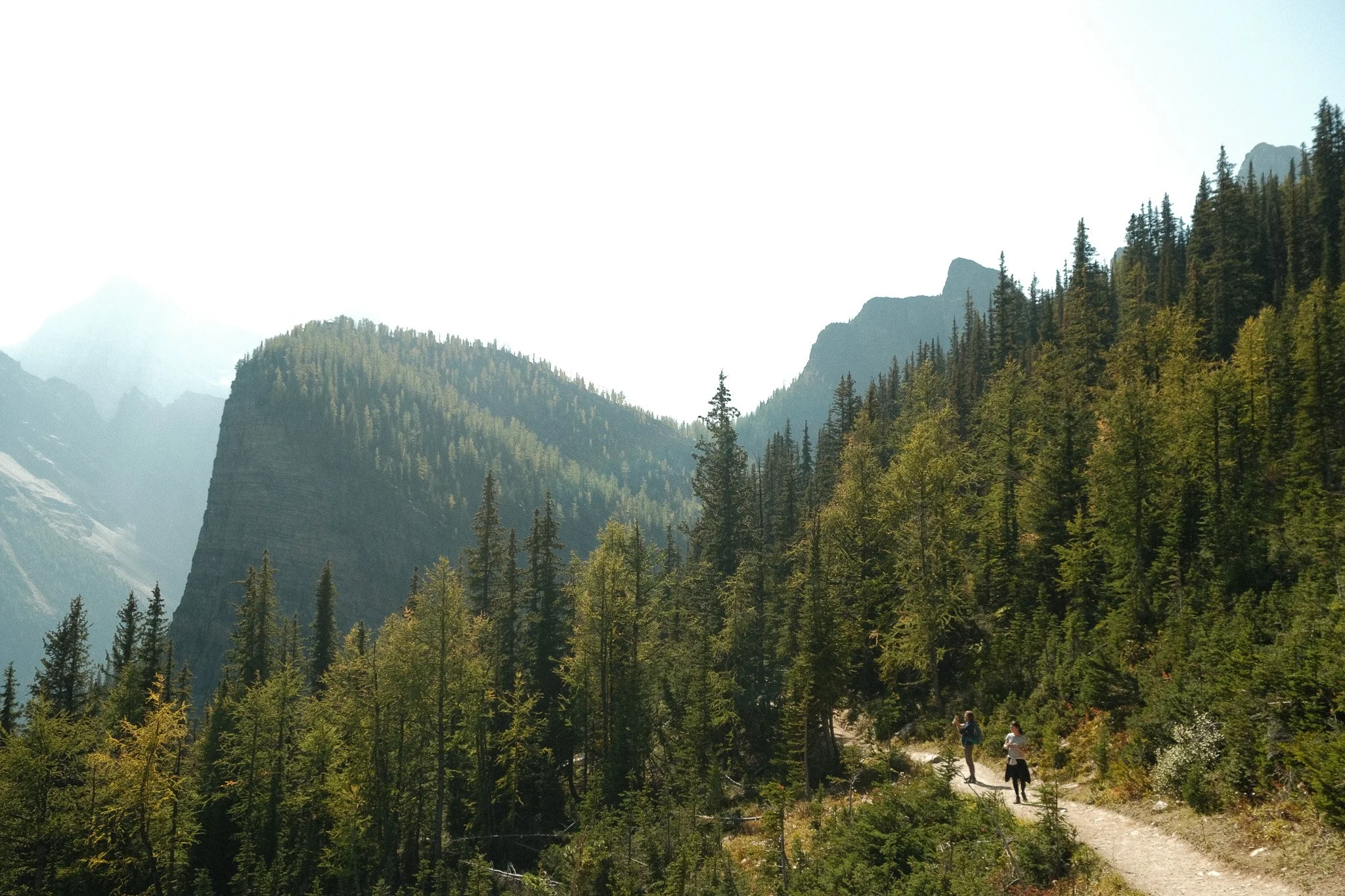 DSCF2743.jpg