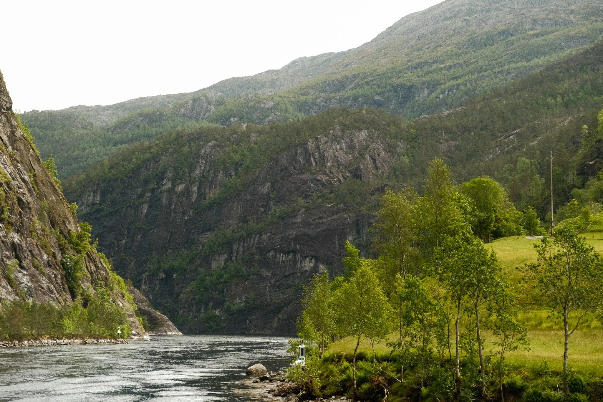 DSCF7586.jpg