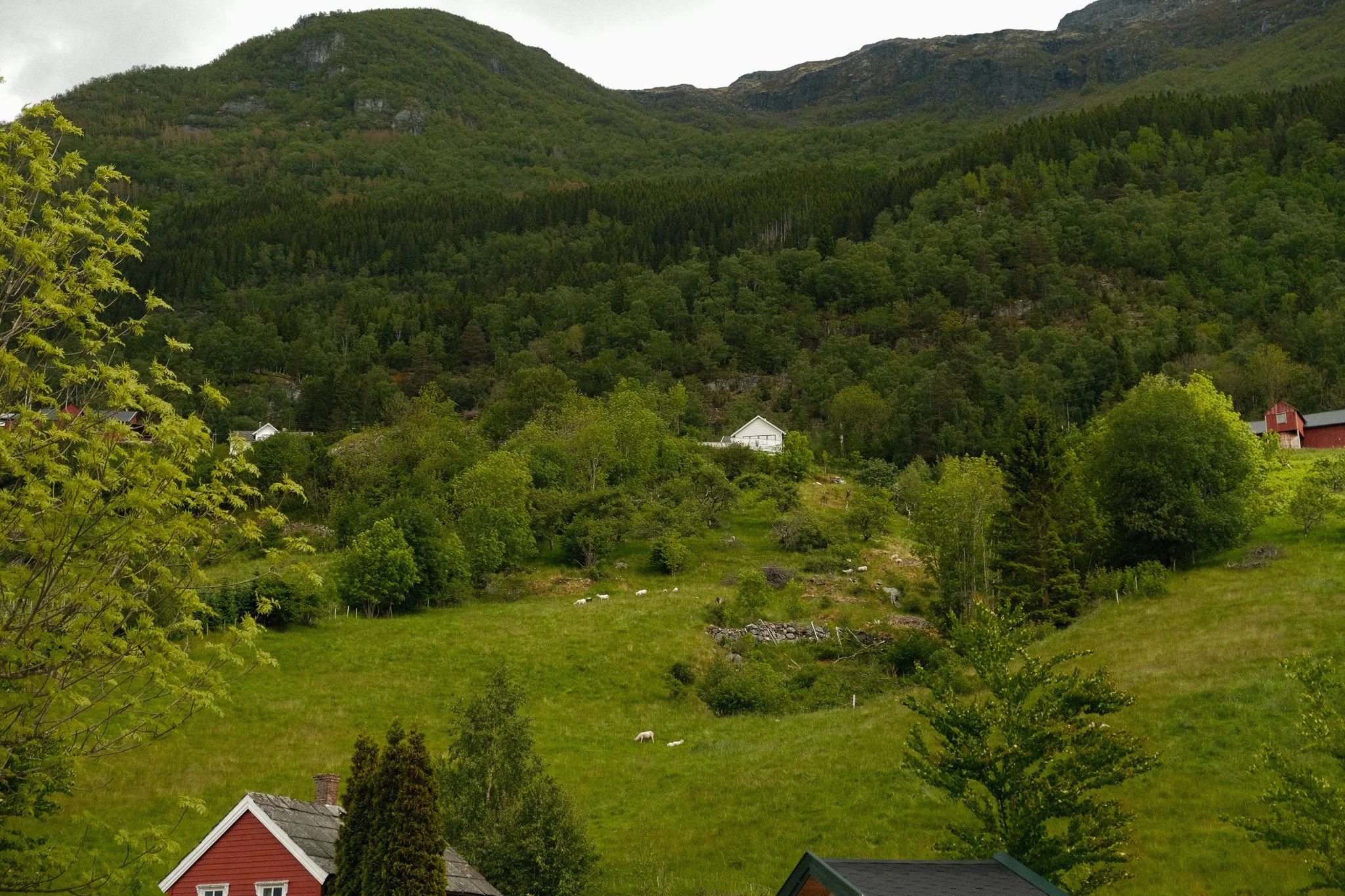 DSCF7168.jpg