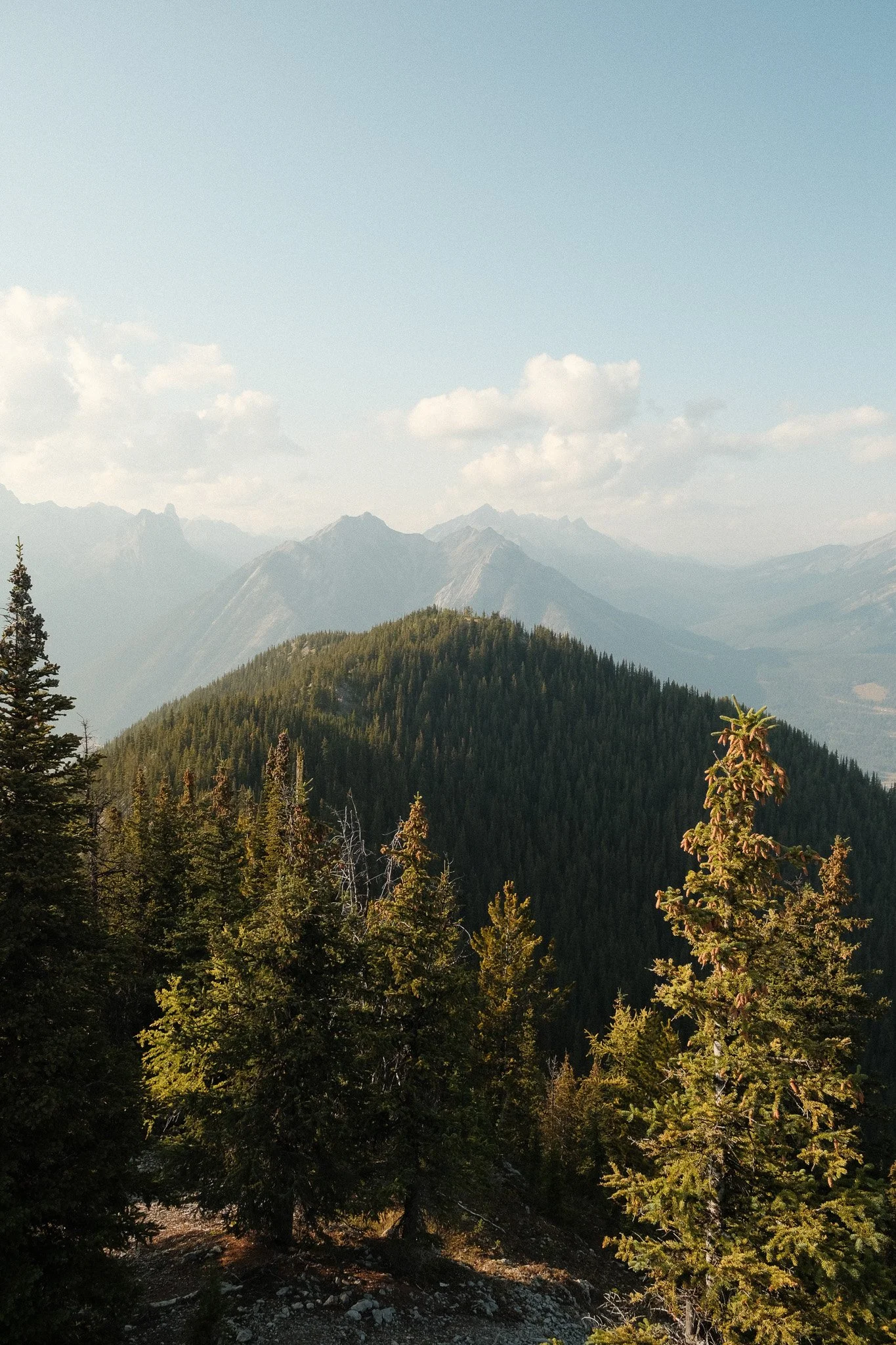 DSCF1915.jpg