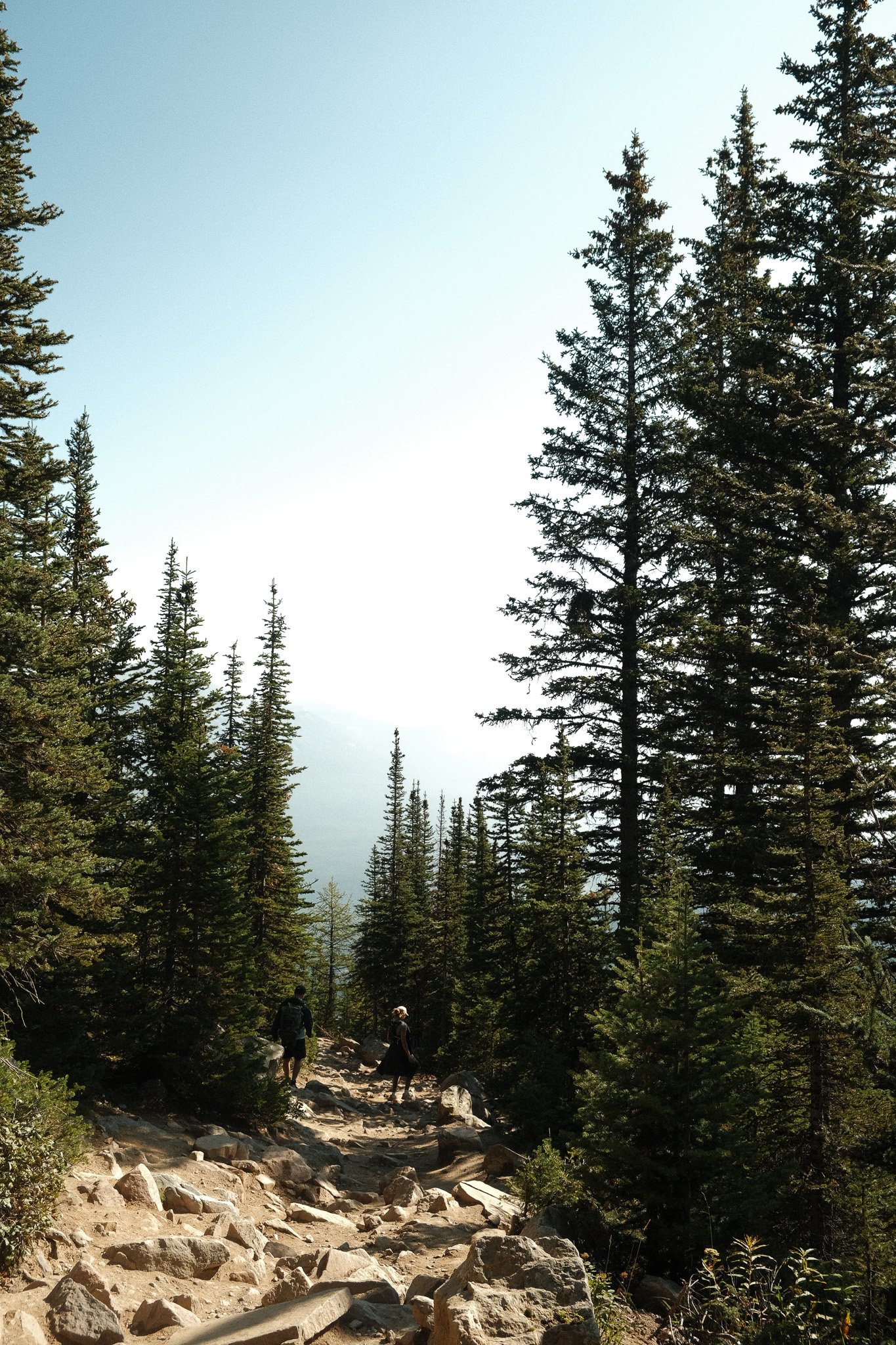 DSCF2585.jpg